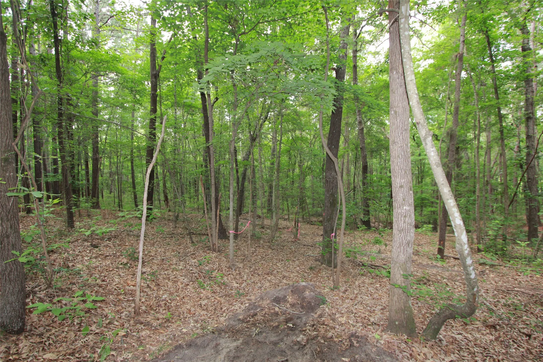 Unimproved Land For Sale in Smith County , Tract 53.1 Hwy 31, Tyler, Texas 75705, 0, 0, Garage spaces, 0 Sqft, built in 0, mls#21276955, Real Estate Agent in Tyler, Homes For Sale in Smith county, Homes For Sale in Tyler, Realtor in Tyler Texas, Real Estate Brokerage Independent Realty Texas, Luminita Cordes Realtor