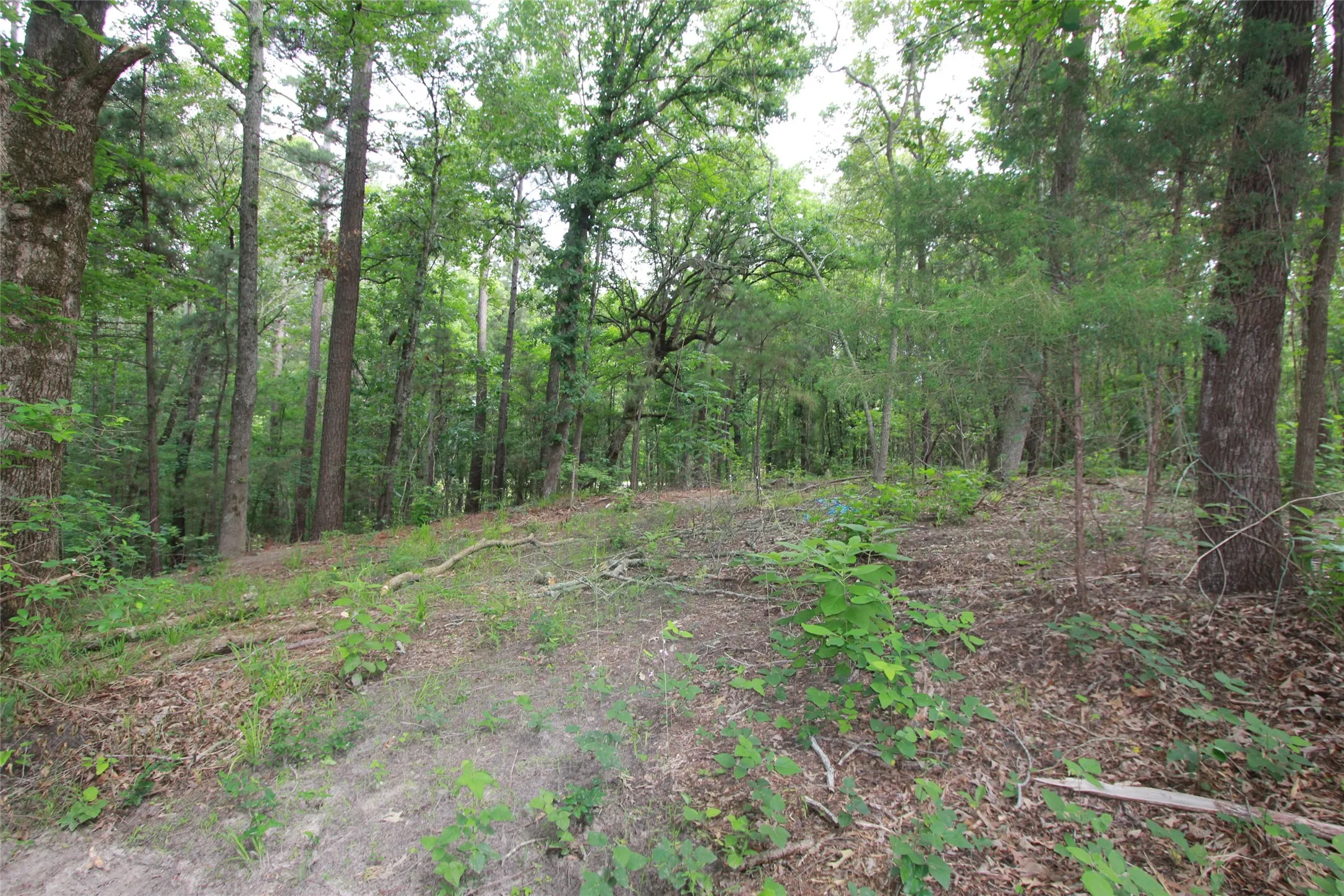 some other views of the property