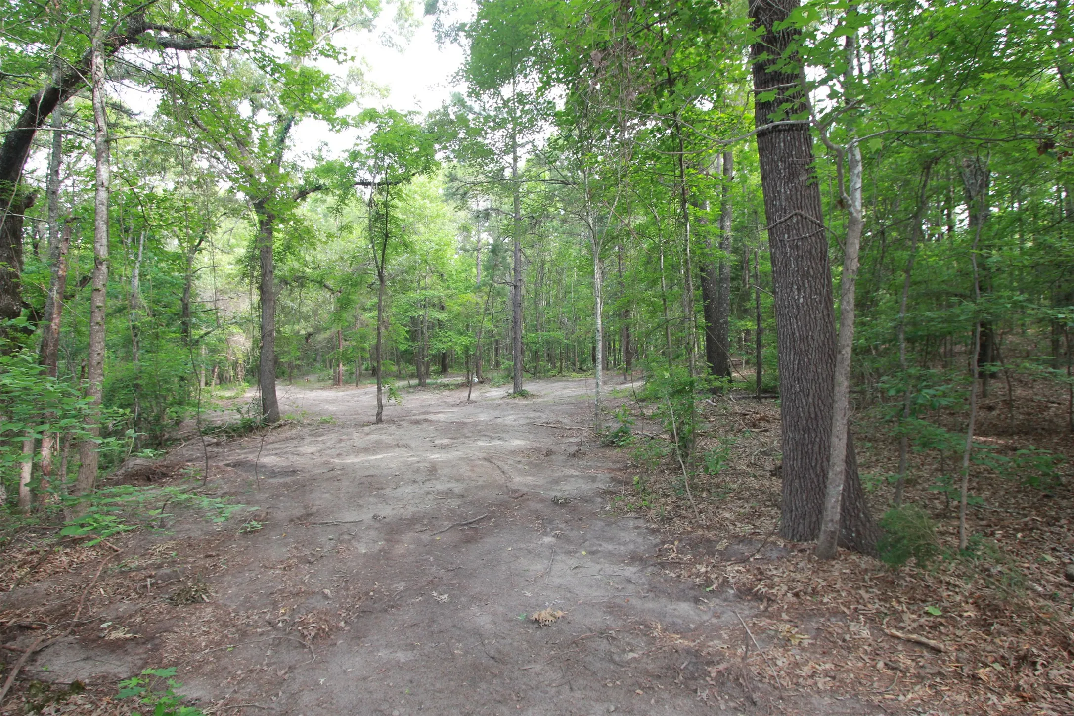 Unimproved Land For Sale in Smith County , Tract 53.1 Hwy 31, Tyler, Texas 75705, 0, 0, Garage spaces, 0 Sqft, built in 0, mls#21276955, Real Estate Agent in Tyler, Homes For Sale in Smith county, Homes For Sale in Tyler, Realtor in Tyler Texas, Real Estate Brokerage Independent Realty Texas, Luminita Cordes Realtor