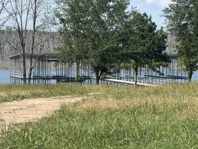 Unimproved Land For Sale in Fannin County , 225 Admirals Court, Dodd City, Texas 75438, 0, 0, Garage spaces, 0 Sqft, built in 0, mls#21228602, Real Estate Agent in Dodd City, Homes For Sale in Fannin county, Homes For Sale in Dodd City, Realtor in Dodd City Texas, Real Estate Brokerage Independent Realty Texas, Luminita Cordes Realtor