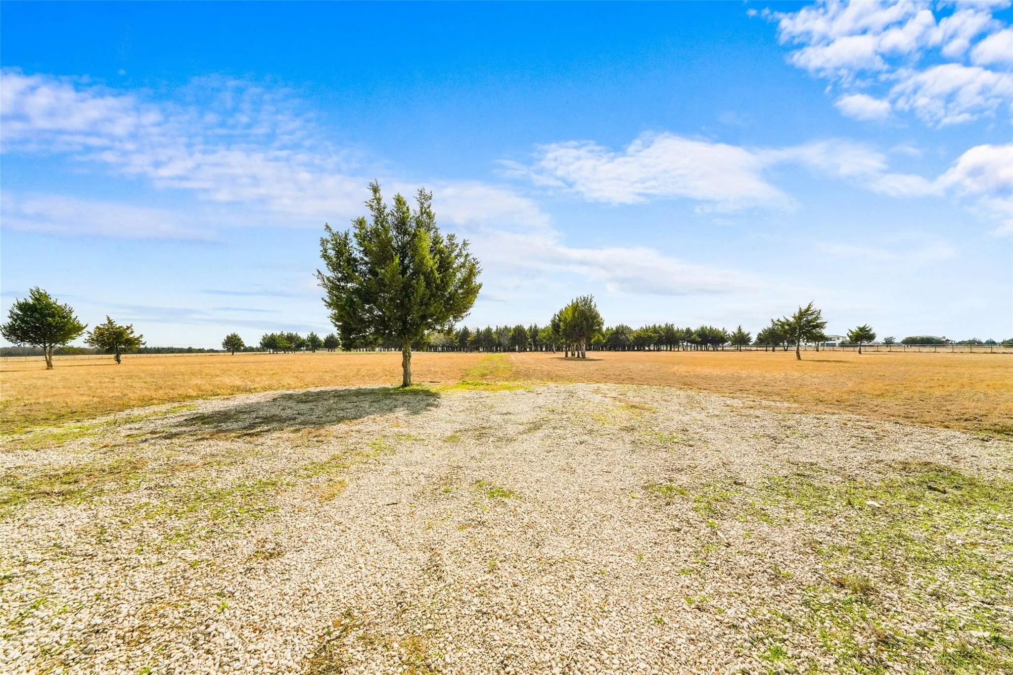 Unimproved Land For Sale in Dallas County , 710 E Reindeer Road, Lancaster, Texas 75146, 0, 0, Garage spaces, 0 Sqft, built in 0, mls#21282469, Real Estate Agent in Lancaster, Homes For Sale in Dallas county, Homes For Sale in Lancaster, Realtor in Lancaster Texas, Real Estate Brokerage Independent Realty Texas, Luminita Cordes Realtor