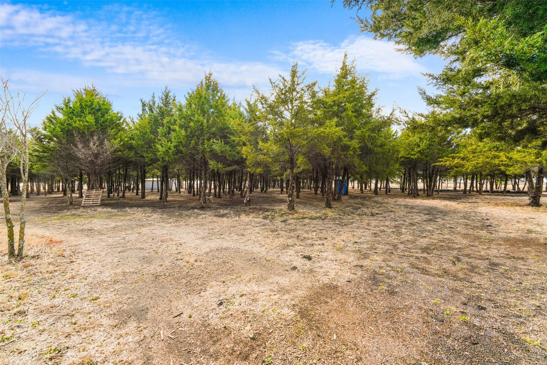 Unimproved Land For Sale in Dallas County , 710 E Reindeer Road, Lancaster, Texas 75146, 0, 0, Garage spaces, 0 Sqft, built in 0, mls#21282469, Real Estate Agent in Lancaster, Homes For Sale in Dallas county, Homes For Sale in Lancaster, Realtor in Lancaster Texas, Real Estate Brokerage Independent Realty Texas, Luminita Cordes Realtor