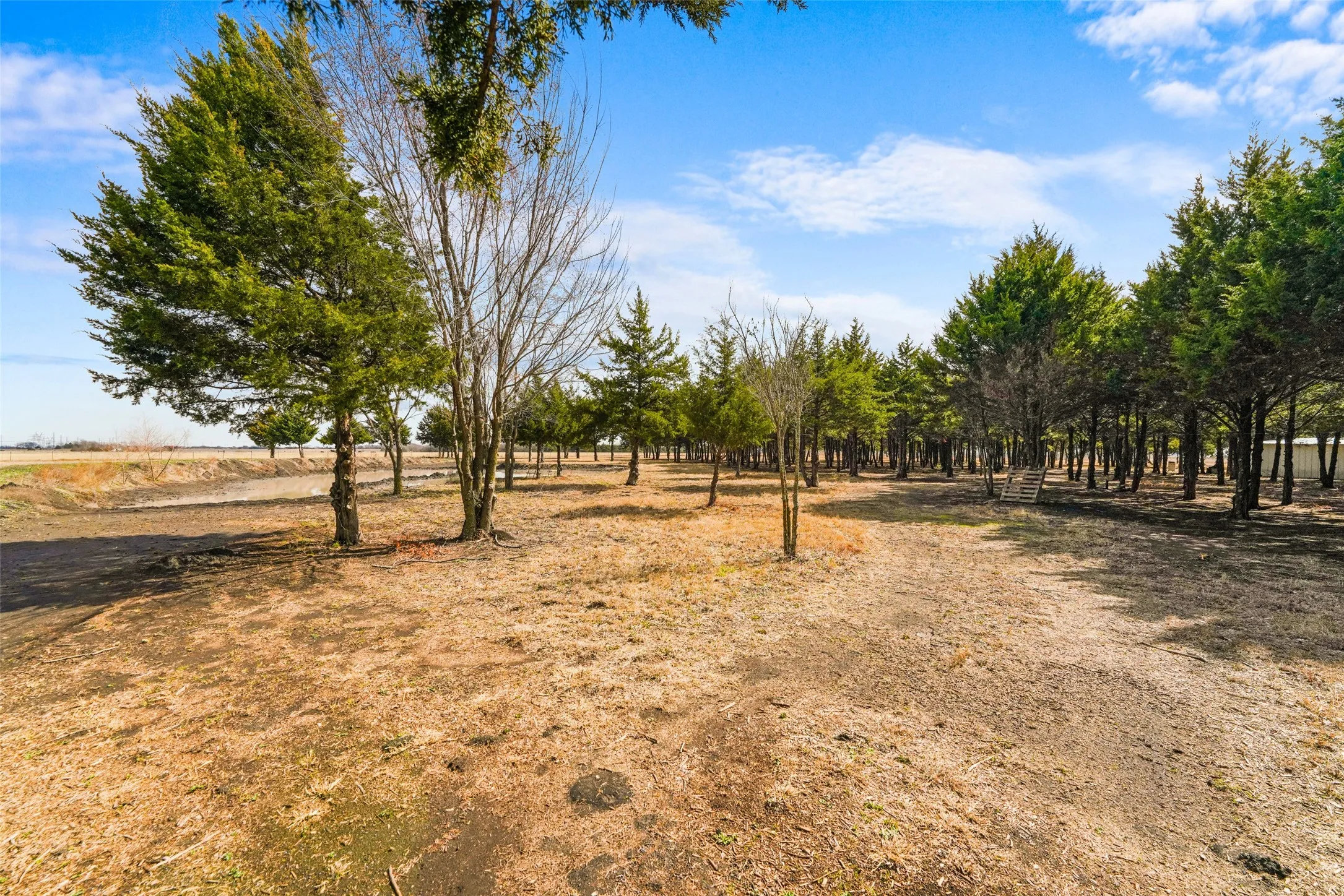 Unimproved Land For Sale in Dallas County , 710 E Reindeer Road, Lancaster, Texas 75146, 0, 0, Garage spaces, 0 Sqft, built in 0, mls#21282469, Real Estate Agent in Lancaster, Homes For Sale in Dallas county, Homes For Sale in Lancaster, Realtor in Lancaster Texas, Real Estate Brokerage Independent Realty Texas, Luminita Cordes Realtor