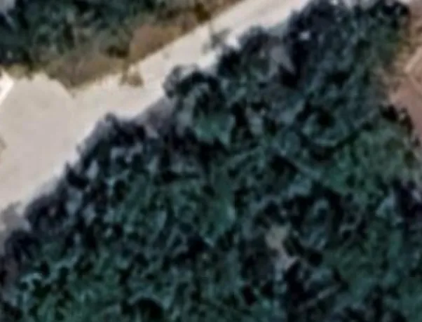 Unimproved Land For Sale in Bosque County , CR 1519 CR 1519, Morgan, Texas 76671, 0, 0, Garage spaces, 0 Sqft, built in 0, mls#21282533, Real Estate Agent in Morgan, Homes For Sale in Bosque county, Homes For Sale in Morgan, Realtor in Morgan Texas, Real Estate Brokerage Independent Realty Texas, Luminita Cordes Realtor