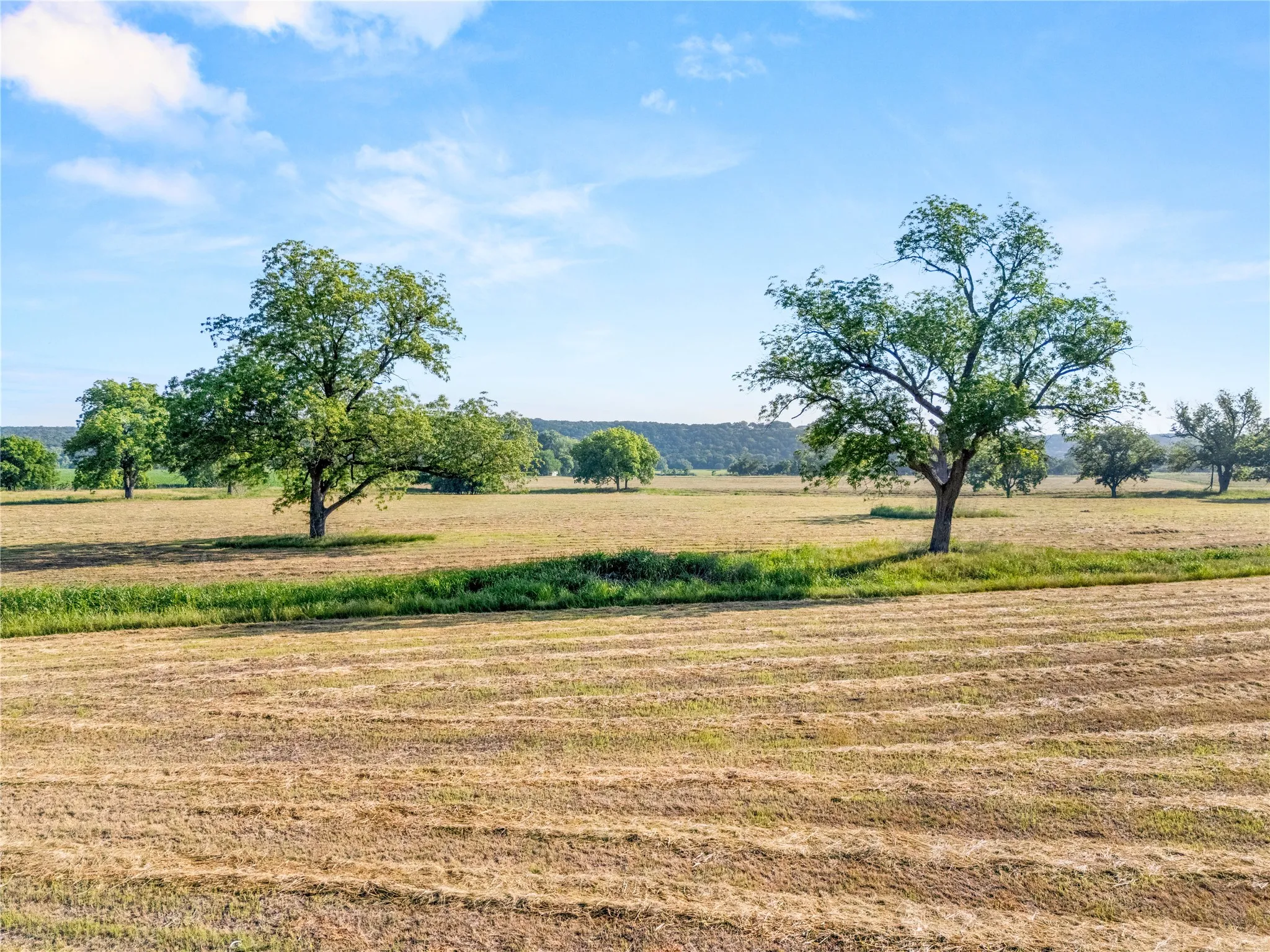 Retail For Sale in Bosque County , 32.07 ac. Riverfront TBD Hwy 6, Valley Mills, Texas 76689, 0, 0, Garage spaces, 0 Sqft, built in 0, Price $499,980, mls#21282549, Real Estate Agent in Valley Mills, Homes For Sale in Bosque county, Homes For Sale in Valley Mills, Realtor in Valley Mills Texas, Real Estate Brokerage Independent Realty Texas, Luminita Cordes Realtor