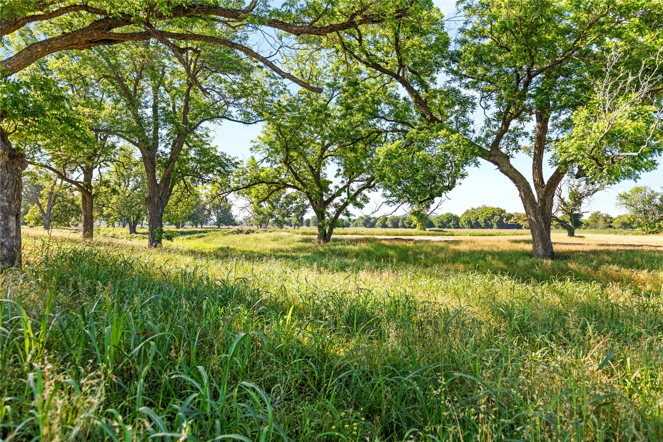 Retail For Sale in Bosque County , 32.07 ac. Riverfront TBD Hwy 6, Valley Mills, Texas 76689, 0, 0, Garage spaces, 0 Sqft, built in 0, Price $499,980, mls#21282549, Real Estate Agent in Valley Mills, Homes For Sale in Bosque county, Homes For Sale in Valley Mills, Realtor in Valley Mills Texas, Real Estate Brokerage Independent Realty Texas, Luminita Cordes Realtor