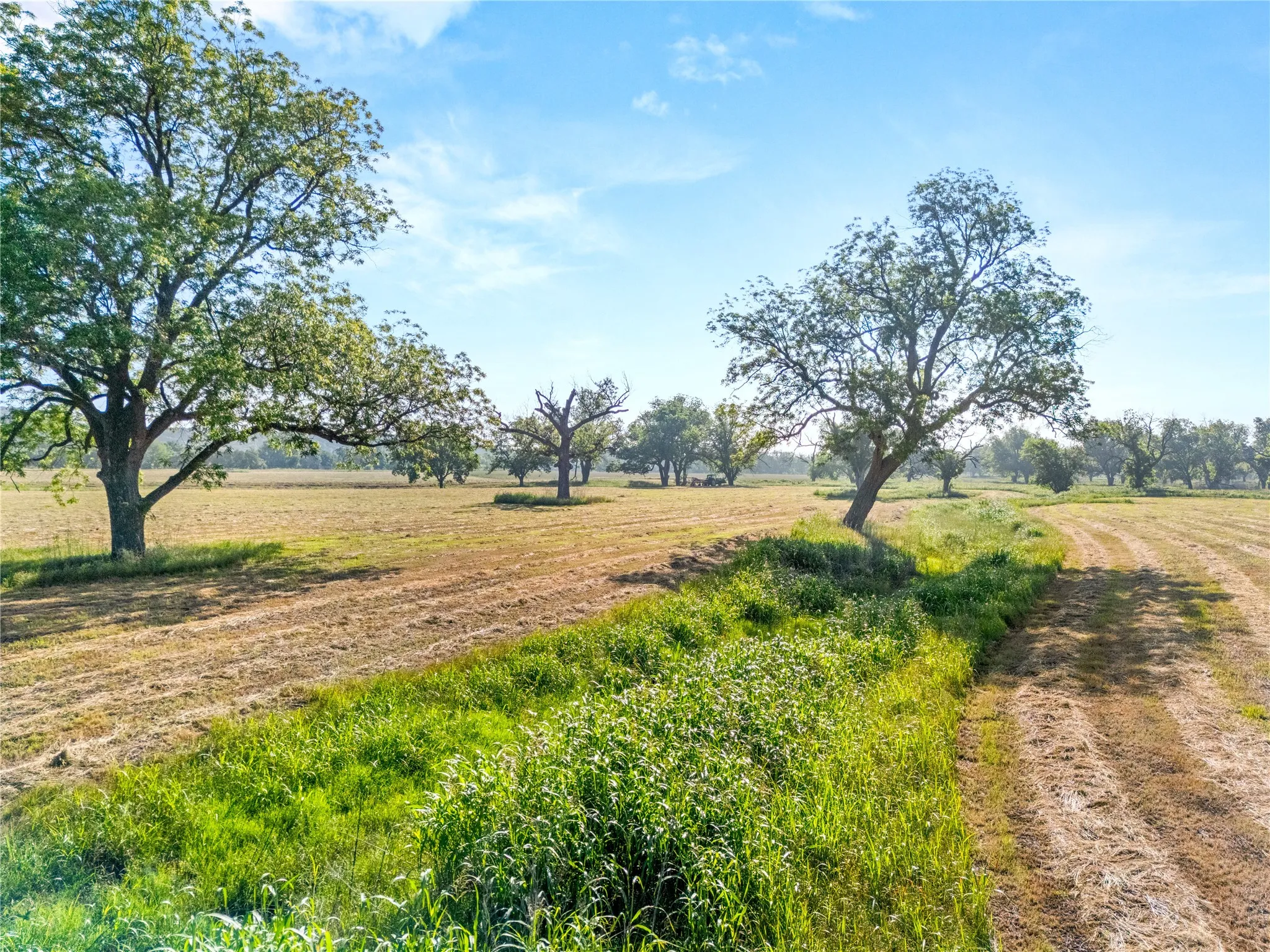 Retail For Sale in Bosque County , 32.07 ac. Riverfront TBD Hwy 6, Valley Mills, Texas 76689, 0, 0, Garage spaces, 0 Sqft, built in 0, Price $499,980, mls#21282549, Real Estate Agent in Valley Mills, Homes For Sale in Bosque county, Homes For Sale in Valley Mills, Realtor in Valley Mills Texas, Real Estate Brokerage Independent Realty Texas, Luminita Cordes Realtor
