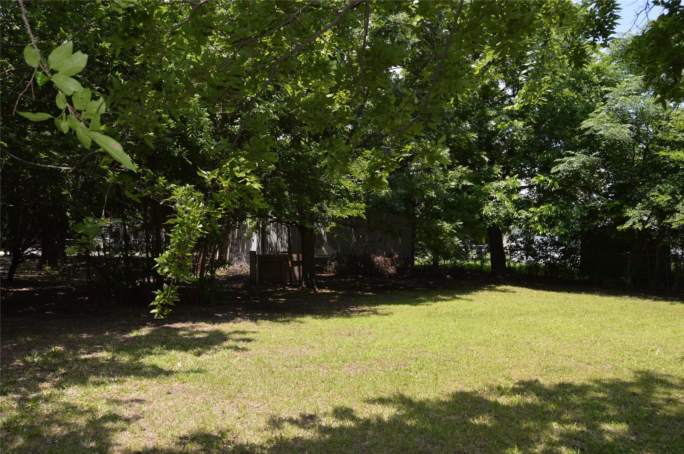 Backyard toward shop