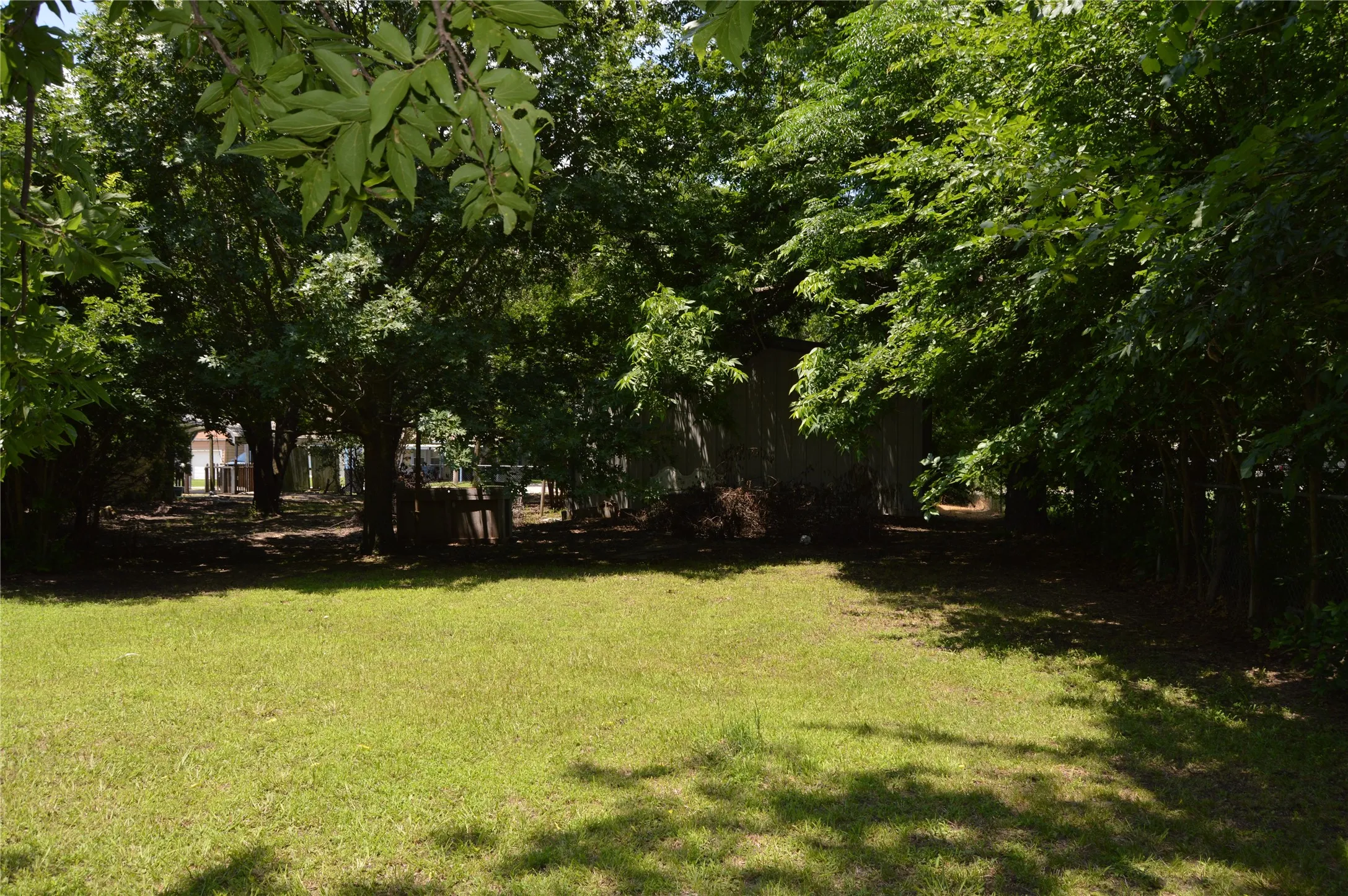Backyard toward shop