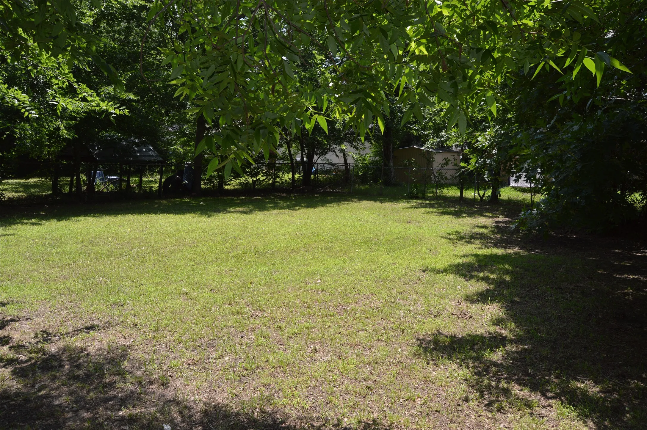 Backyard