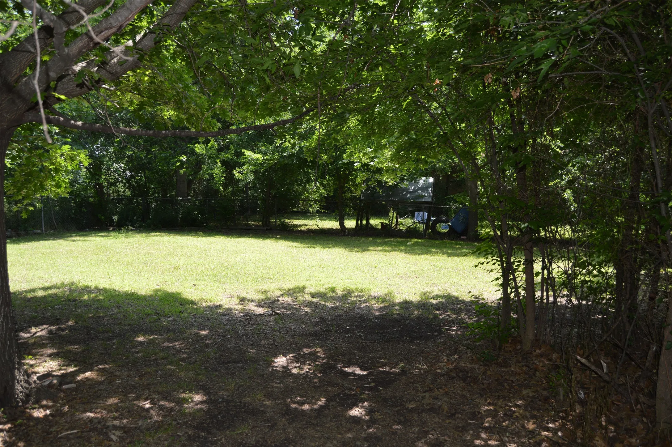 backyard