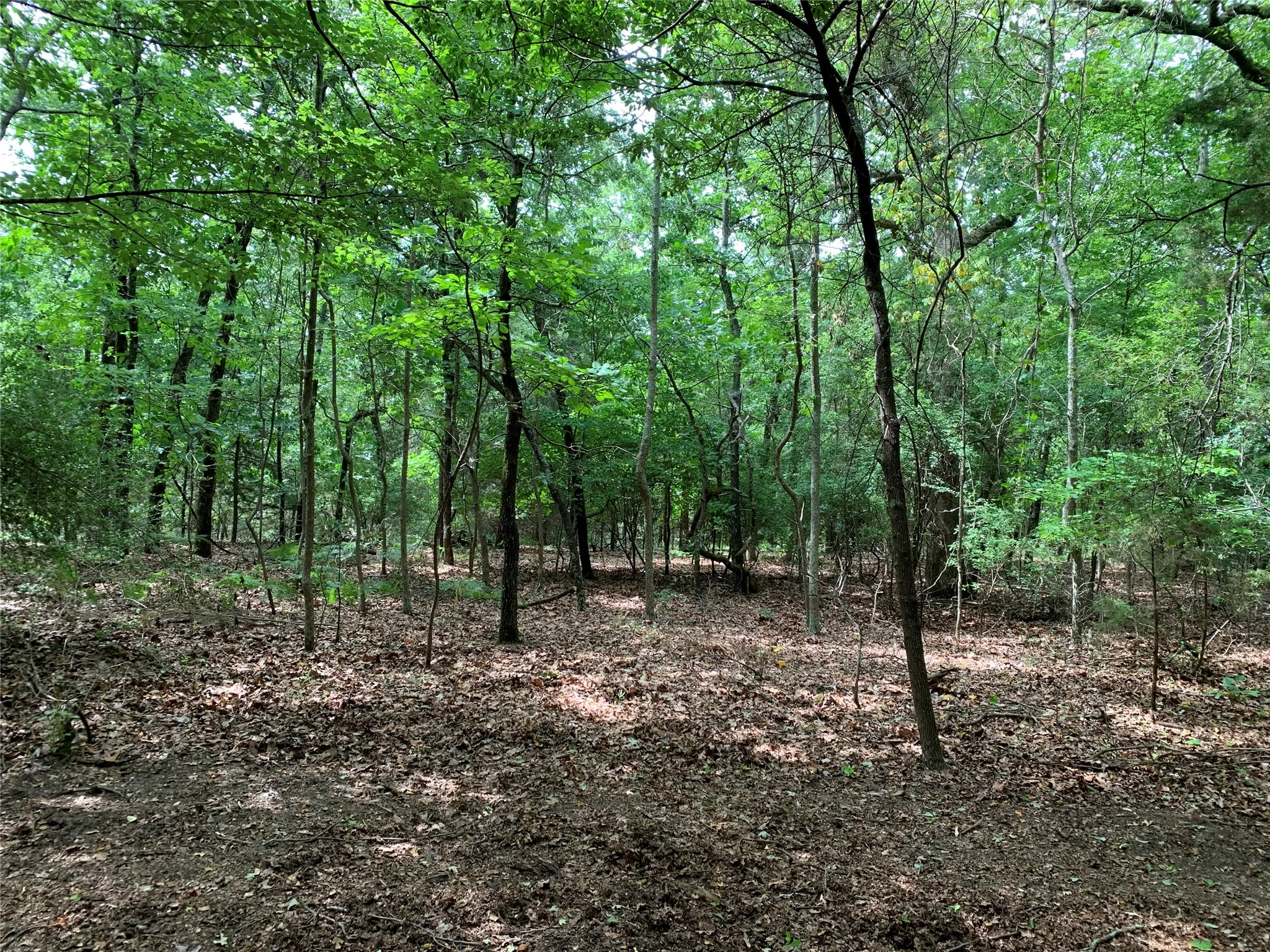 Unimproved Land For Sale in Henderson County , TBD County Road 3711, Athens, Texas 75752, 0, 0, Garage spaces, 0 Sqft, built in 0, mls#21282594, Real Estate Agent in Athens, Homes For Sale in Henderson county, Homes For Sale in Athens, Realtor in Athens Texas, Real Estate Brokerage Independent Realty Texas, Luminita Cordes Realtor