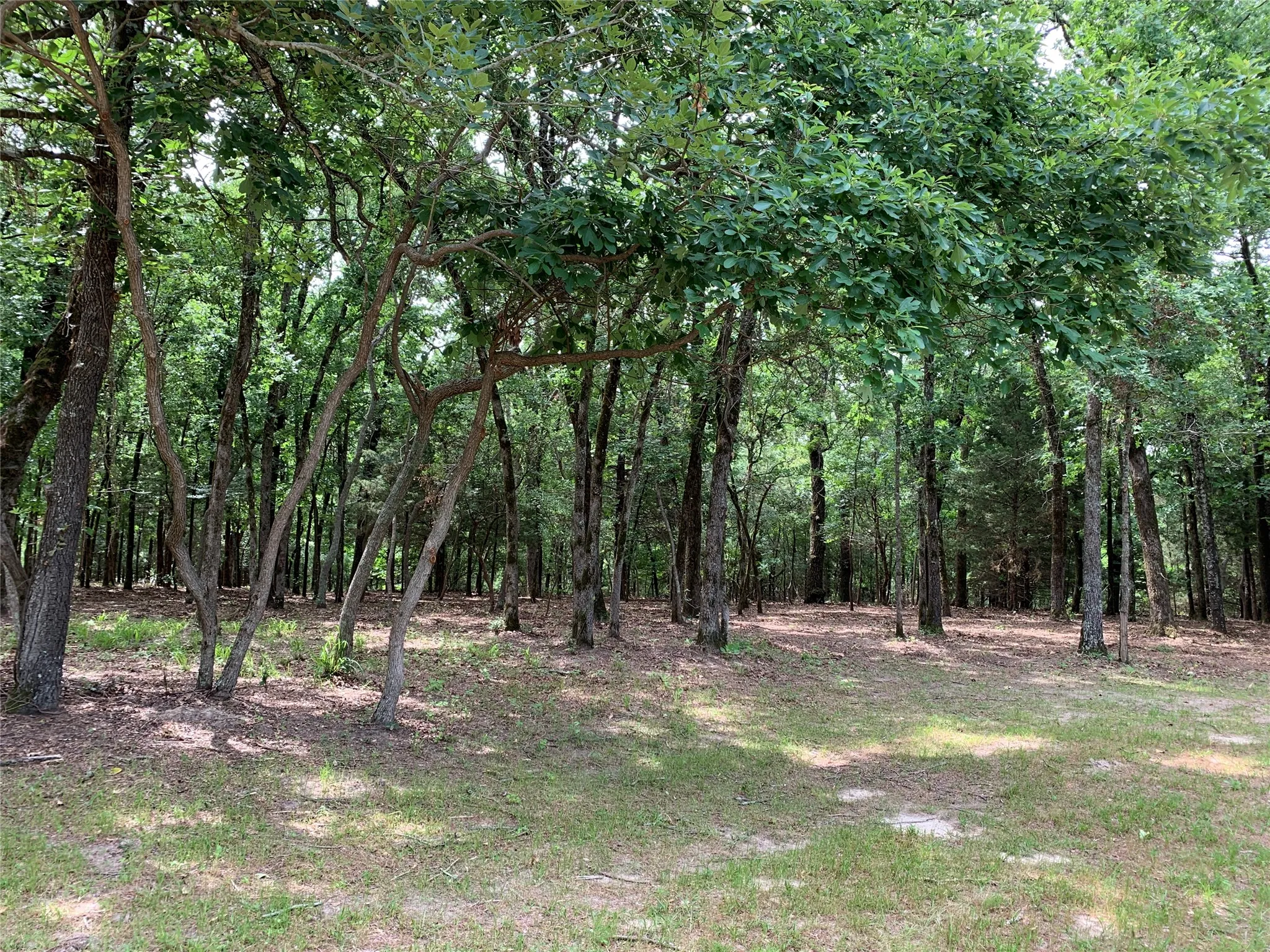 Unimproved Land For Sale in Henderson County , TBD County Road 3711, Athens, Texas 75752, 0, 0, Garage spaces, 0 Sqft, built in 0, mls#21282594, Real Estate Agent in Athens, Homes For Sale in Henderson county, Homes For Sale in Athens, Realtor in Athens Texas, Real Estate Brokerage Independent Realty Texas, Luminita Cordes Realtor