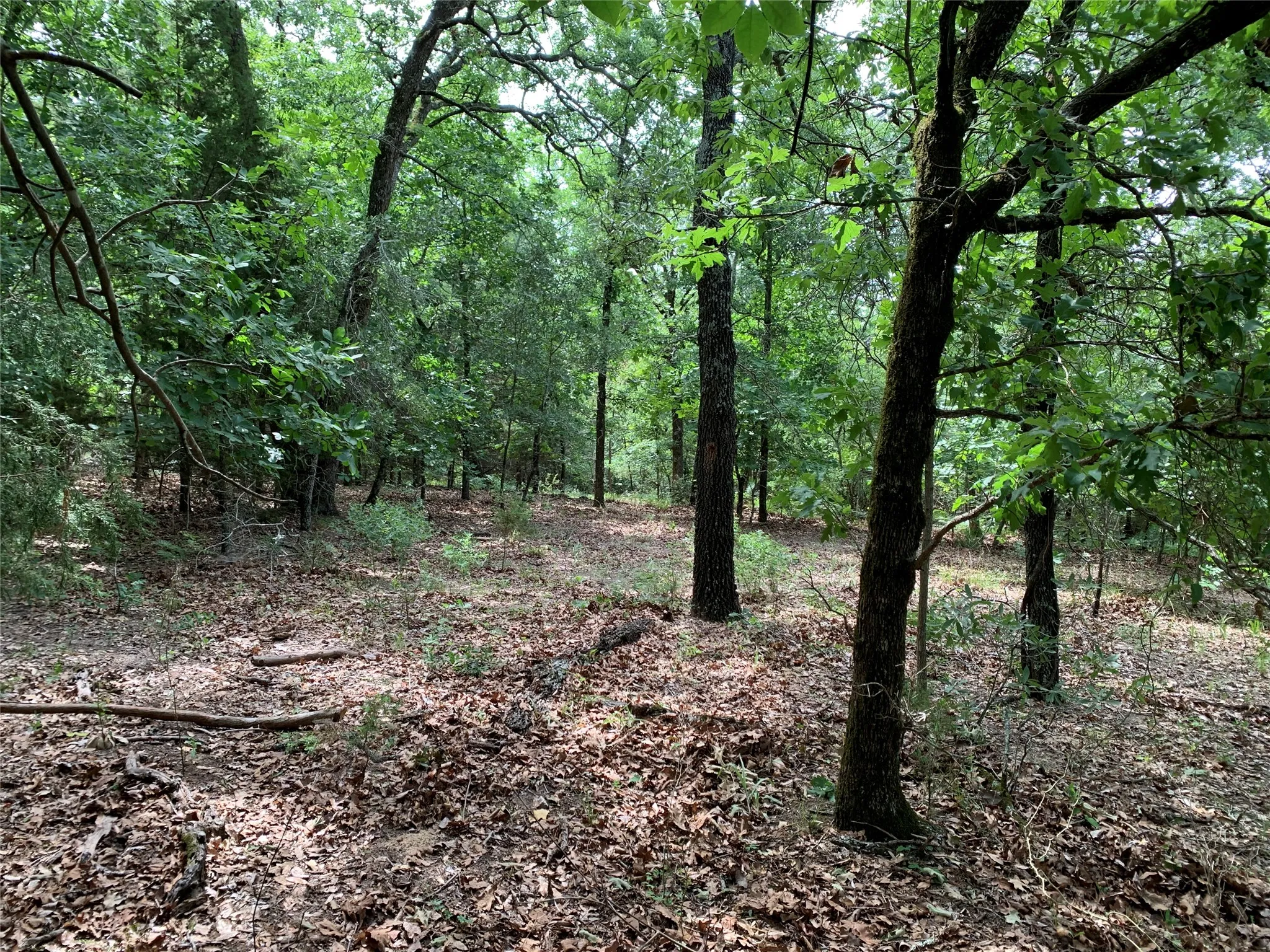 Unimproved Land For Sale in Henderson County , TBD County Road 3711, Athens, Texas 75752, 0, 0, Garage spaces, 0 Sqft, built in 0, mls#21282594, Real Estate Agent in Athens, Homes For Sale in Henderson county, Homes For Sale in Athens, Realtor in Athens Texas, Real Estate Brokerage Independent Realty Texas, Luminita Cordes Realtor