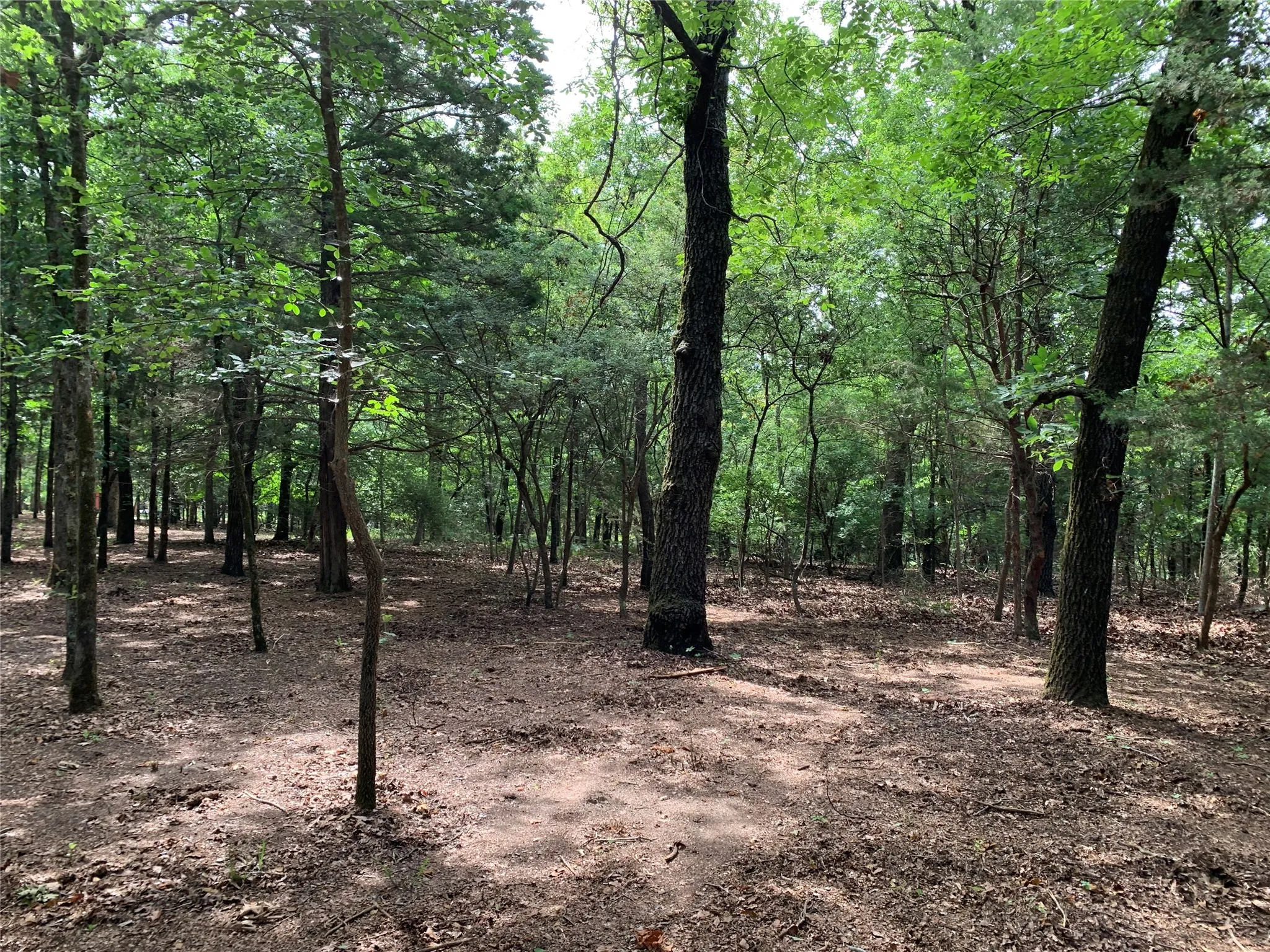 Unimproved Land For Sale in Henderson County , TBD County Road 3711, Athens, Texas 75752, 0, 0, Garage spaces, 0 Sqft, built in 0, mls#21282594, Real Estate Agent in Athens, Homes For Sale in Henderson county, Homes For Sale in Athens, Realtor in Athens Texas, Real Estate Brokerage Independent Realty Texas, Luminita Cordes Realtor