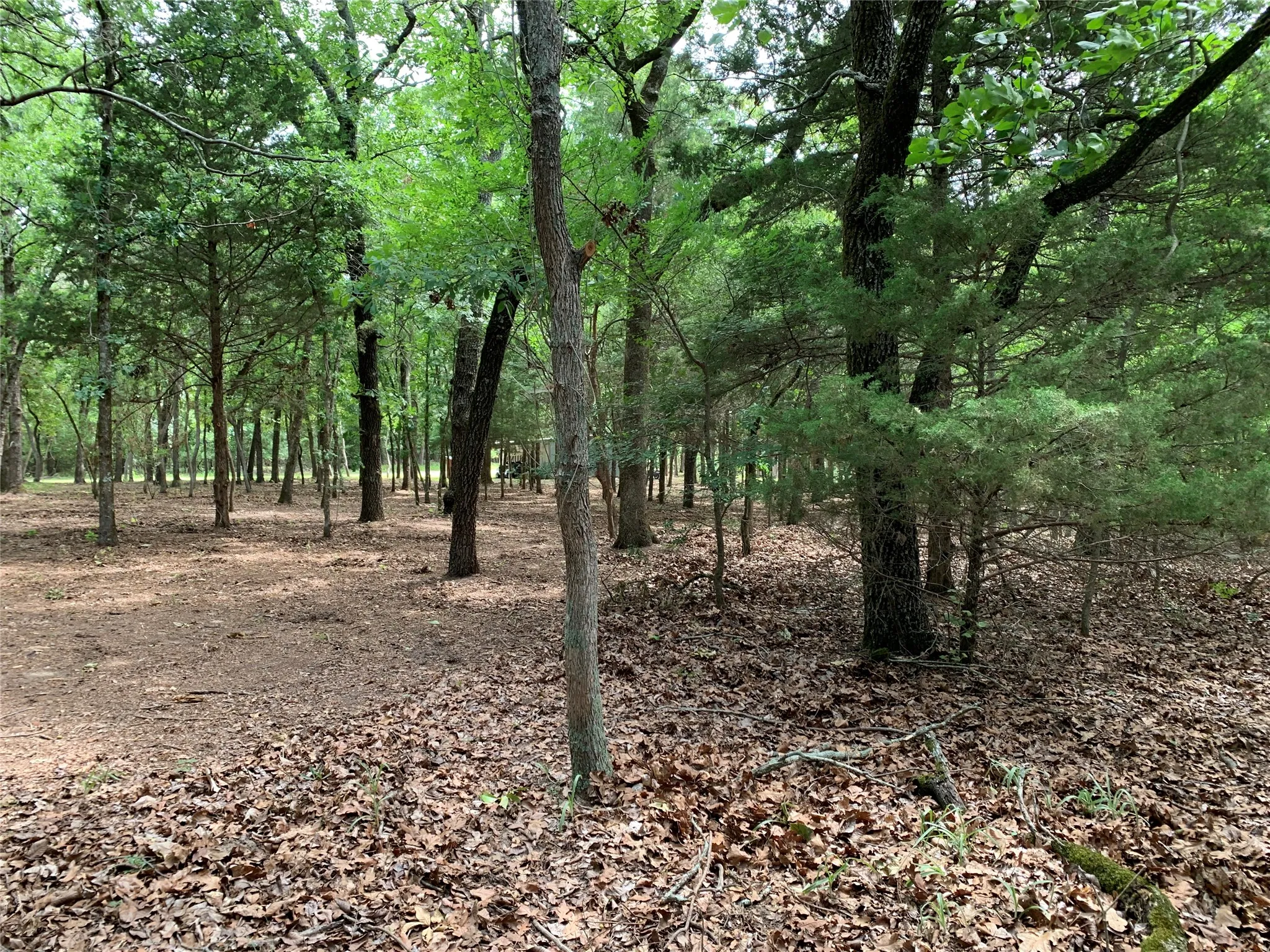 Unimproved Land For Sale in Henderson County , TBD County Road 3711, Athens, Texas 75752, 0, 0, Garage spaces, 0 Sqft, built in 0, mls#21282594, Real Estate Agent in Athens, Homes For Sale in Henderson county, Homes For Sale in Athens, Realtor in Athens Texas, Real Estate Brokerage Independent Realty Texas, Luminita Cordes Realtor