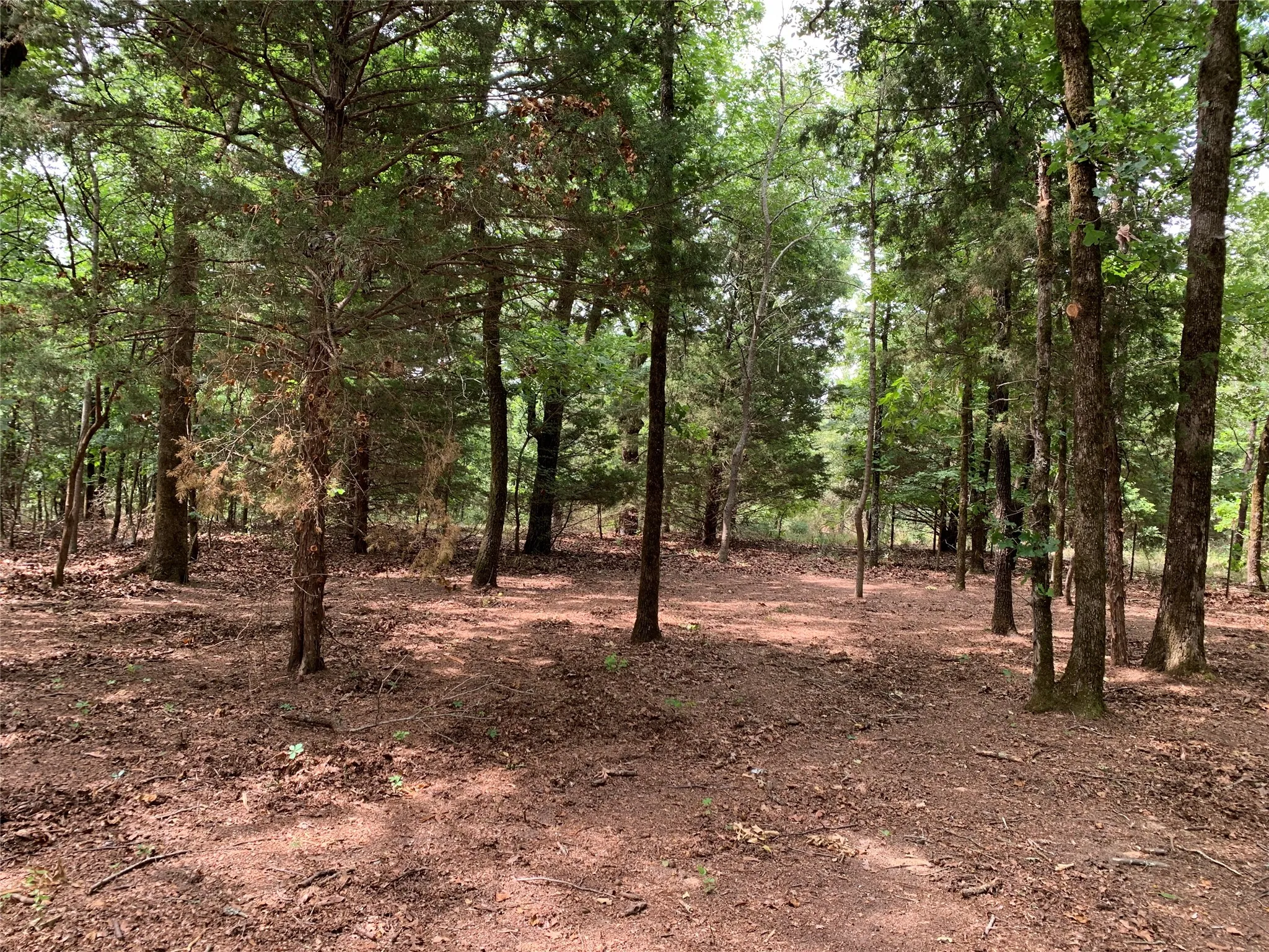 Unimproved Land For Sale in Henderson County , TBD County Road 3711, Athens, Texas 75752, 0, 0, Garage spaces, 0 Sqft, built in 0, mls#21282594, Real Estate Agent in Athens, Homes For Sale in Henderson county, Homes For Sale in Athens, Realtor in Athens Texas, Real Estate Brokerage Independent Realty Texas, Luminita Cordes Realtor