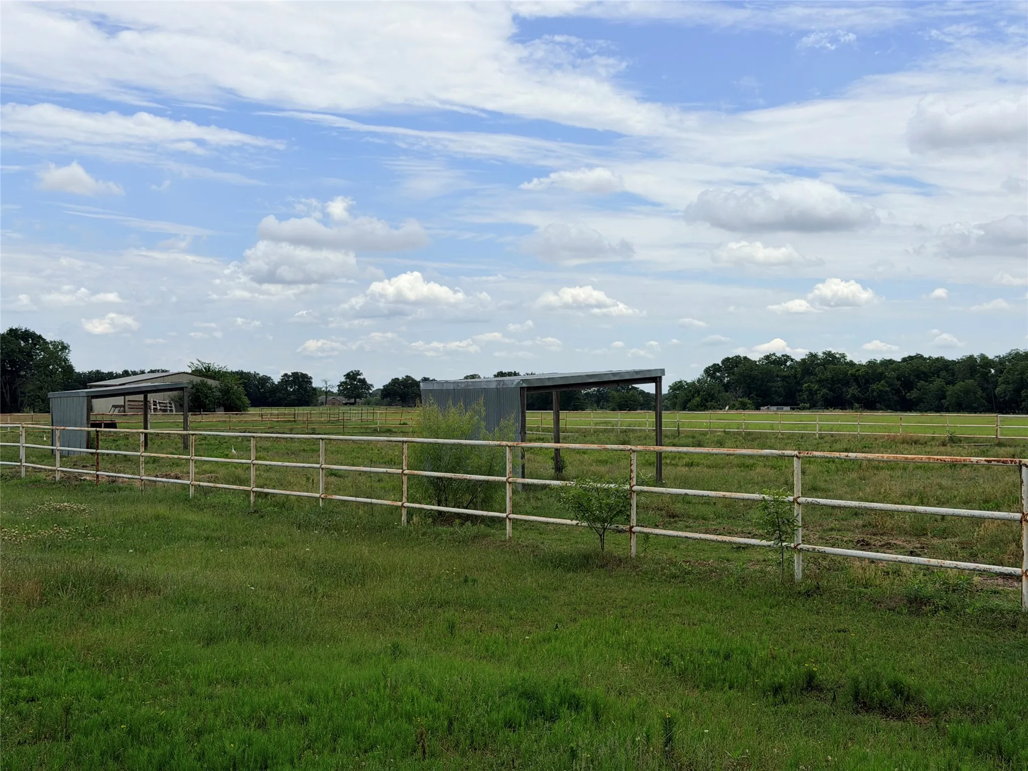 Unimproved Land For Sale in Denton County , 6832 Fm 2931, Aubrey, Texas 76227, 0, 0, Garage spaces, 0 Sqft, built in 1989, Price $10,500,000, mls#21282610, Real Estate Agent in Aubrey, Homes For Sale in Denton county, Homes For Sale in Aubrey, Realtor in Aubrey Texas, Real Estate Brokerage Independent Realty Texas, Luminita Cordes Realtor