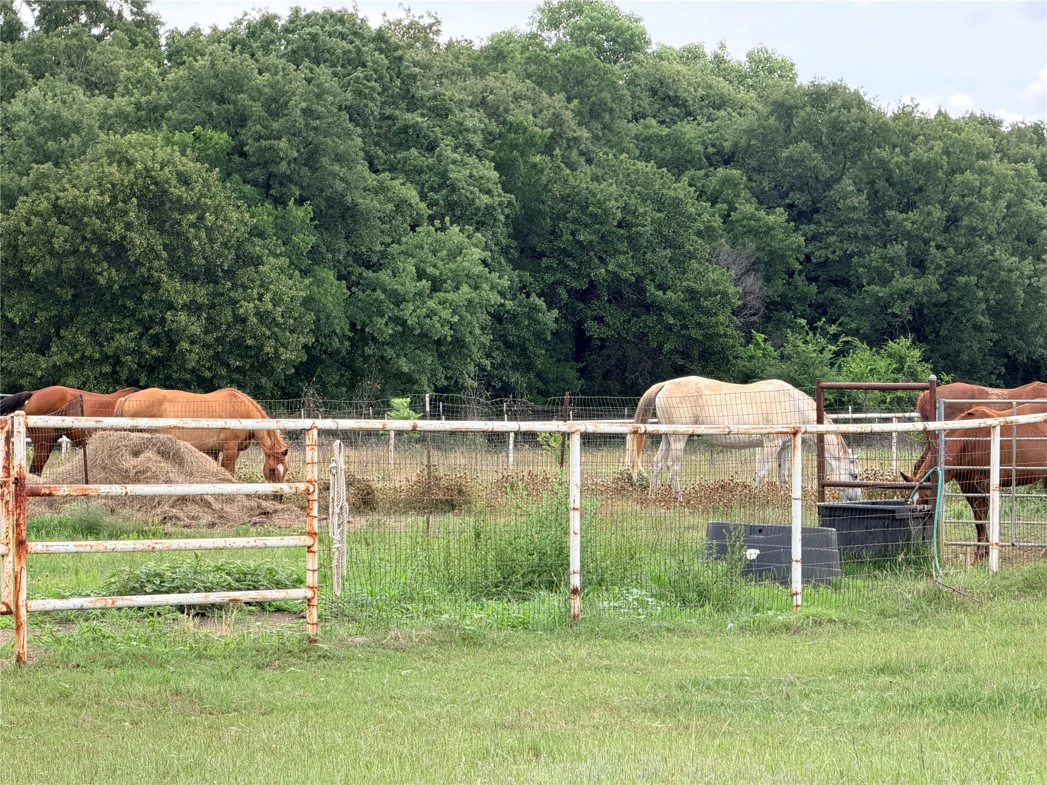 Unimproved Land For Sale in Denton County , 6832 Fm 2931, Aubrey, Texas 76227, 0, 0, Garage spaces, 0 Sqft, built in 1989, Price $10,500,000, mls#21282610, Real Estate Agent in Aubrey, Homes For Sale in Denton county, Homes For Sale in Aubrey, Realtor in Aubrey Texas, Real Estate Brokerage Independent Realty Texas, Luminita Cordes Realtor