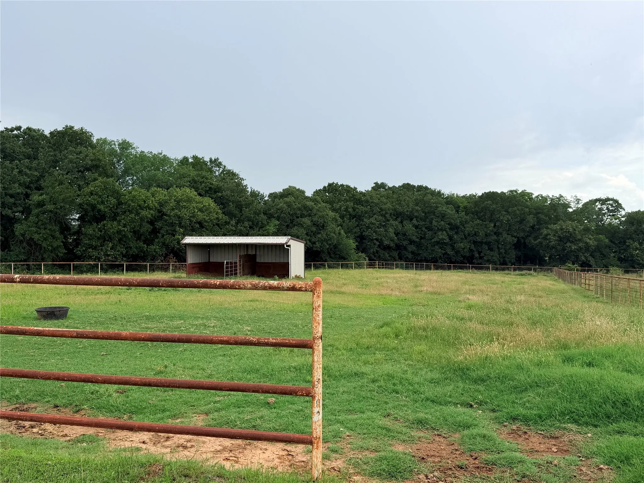 Unimproved Land For Sale in Denton County , 6832 Fm 2931, Aubrey, Texas 76227, 0, 0, Garage spaces, 0 Sqft, built in 1989, Price $10,500,000, mls#21282610, Real Estate Agent in Aubrey, Homes For Sale in Denton county, Homes For Sale in Aubrey, Realtor in Aubrey Texas, Real Estate Brokerage Independent Realty Texas, Luminita Cordes Realtor