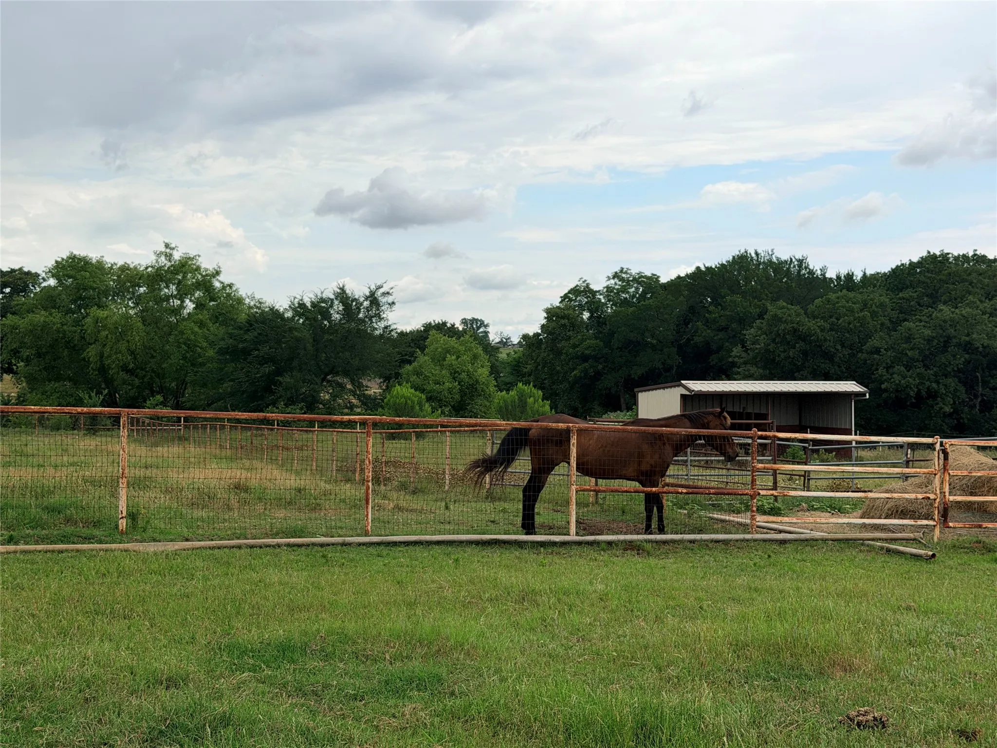Unimproved Land For Sale in Denton County , 6832 Fm 2931, Aubrey, Texas 76227, 0, 0, Garage spaces, 0 Sqft, built in 1989, Price $10,500,000, mls#21282610, Real Estate Agent in Aubrey, Homes For Sale in Denton county, Homes For Sale in Aubrey, Realtor in Aubrey Texas, Real Estate Brokerage Independent Realty Texas, Luminita Cordes Realtor