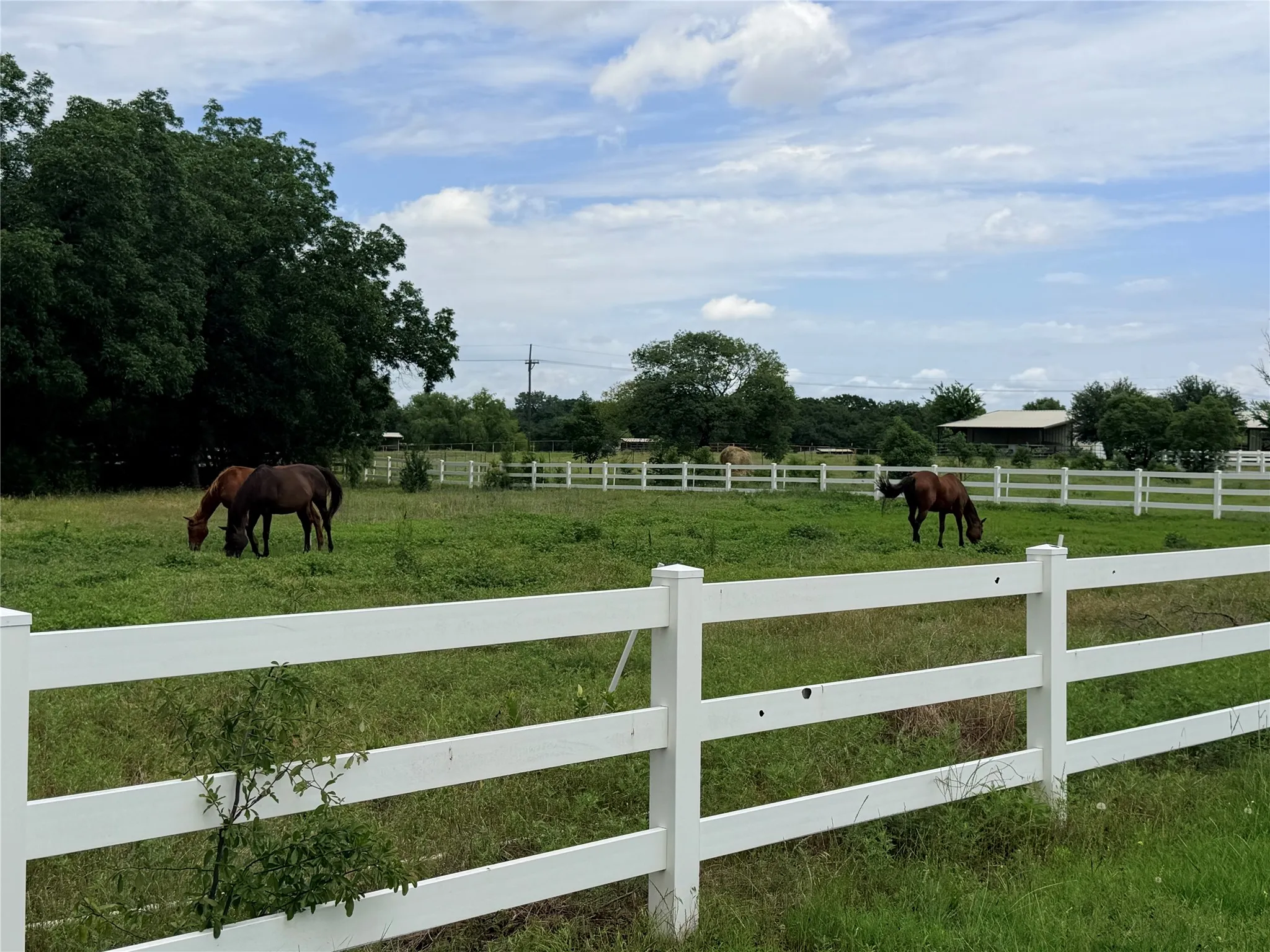 Unimproved Land For Sale in Denton County , 6832 Fm 2931, Aubrey, Texas 76227, 0, 0, Garage spaces, 0 Sqft, built in 1989, Price $10,500,000, mls#21282610, Real Estate Agent in Aubrey, Homes For Sale in Denton county, Homes For Sale in Aubrey, Realtor in Aubrey Texas, Real Estate Brokerage Independent Realty Texas, Luminita Cordes Realtor