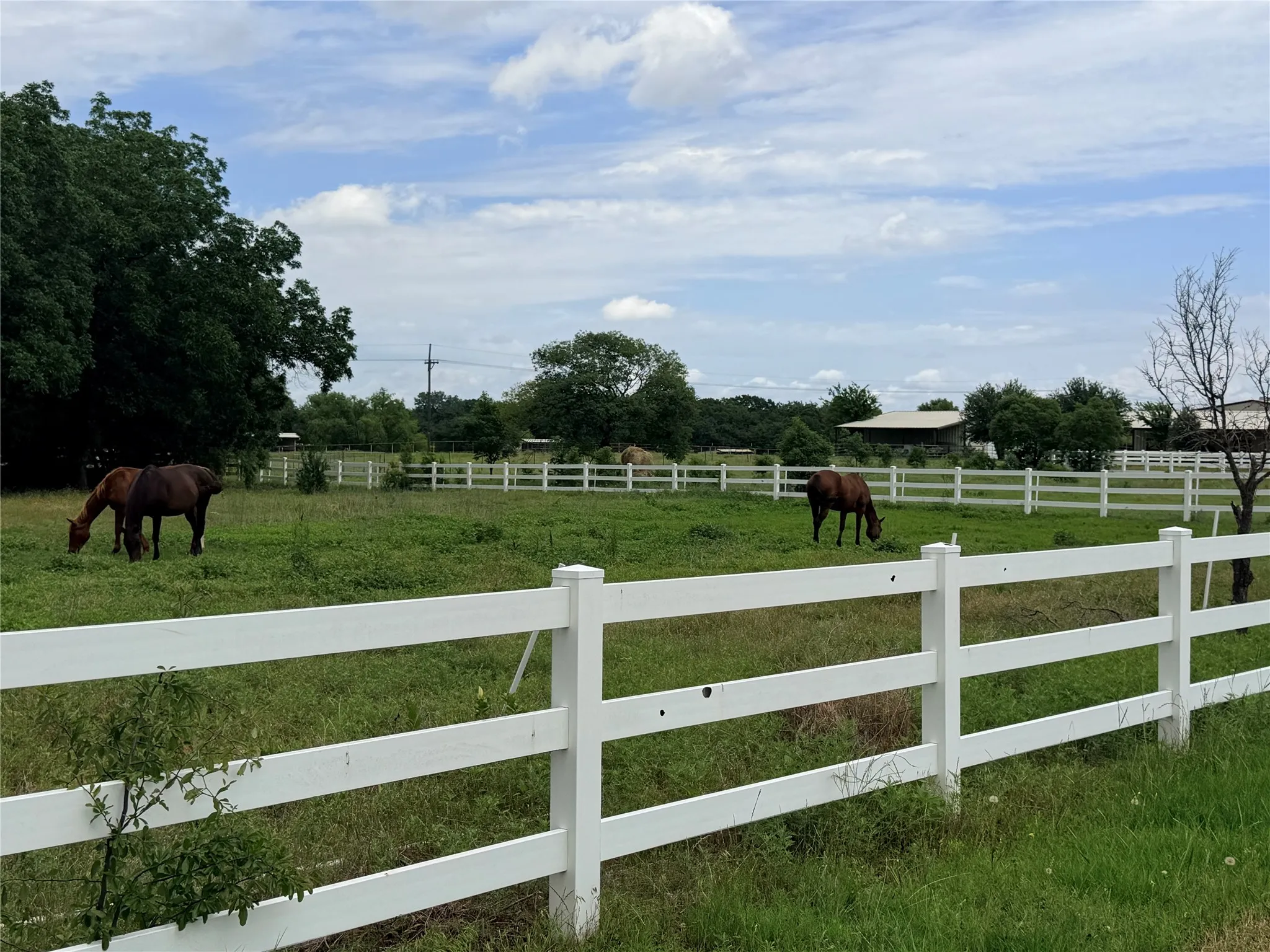 Unimproved Land For Sale in Denton County , 6832 Fm 2931, Aubrey, Texas 76227, 0, 0, Garage spaces, 0 Sqft, built in 1989, Price $10,500,000, mls#21282610, Real Estate Agent in Aubrey, Homes For Sale in Denton county, Homes For Sale in Aubrey, Realtor in Aubrey Texas, Real Estate Brokerage Independent Realty Texas, Luminita Cordes Realtor