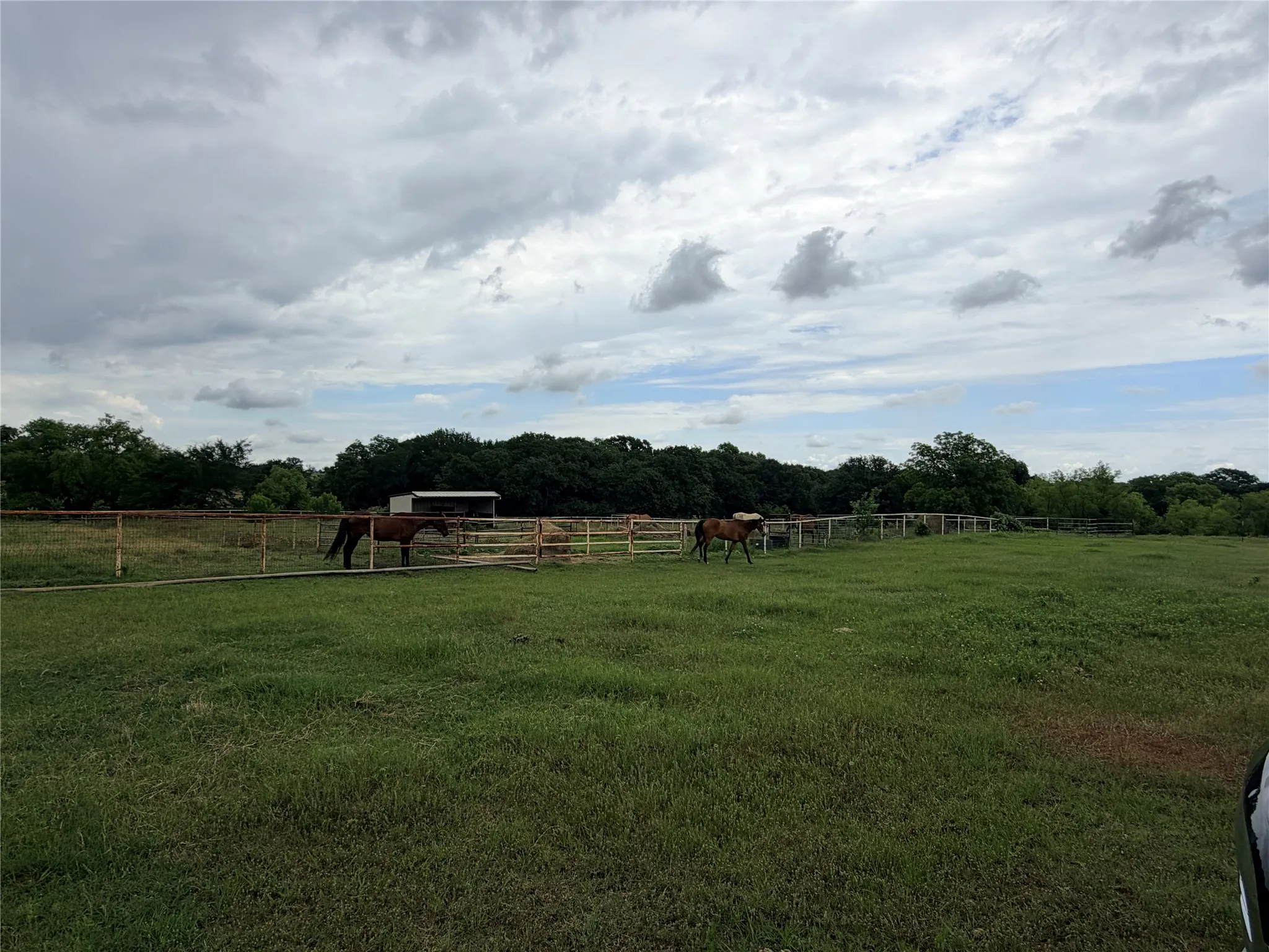 Unimproved Land For Sale in Denton County , 6832 Fm 2931, Aubrey, Texas 76227, 0, 0, Garage spaces, 0 Sqft, built in 1989, Price $10,500,000, mls#21282610, Real Estate Agent in Aubrey, Homes For Sale in Denton county, Homes For Sale in Aubrey, Realtor in Aubrey Texas, Real Estate Brokerage Independent Realty Texas, Luminita Cordes Realtor