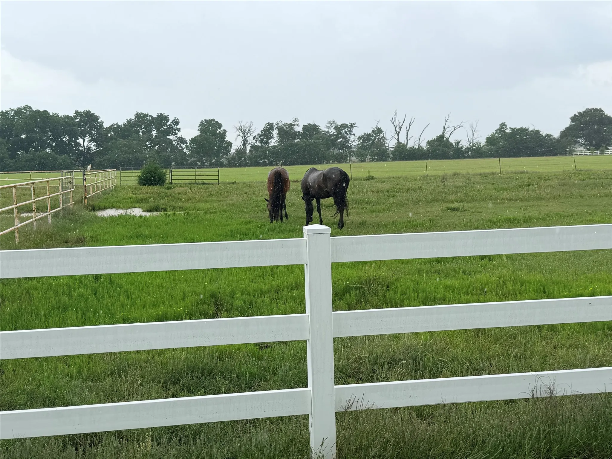 Unimproved Land For Sale in Denton County , 6832 Fm 2931, Aubrey, Texas 76227, 0, 0, Garage spaces, 0 Sqft, built in 1989, Price $10,500,000, mls#21282610, Real Estate Agent in Aubrey, Homes For Sale in Denton county, Homes For Sale in Aubrey, Realtor in Aubrey Texas, Real Estate Brokerage Independent Realty Texas, Luminita Cordes Realtor
