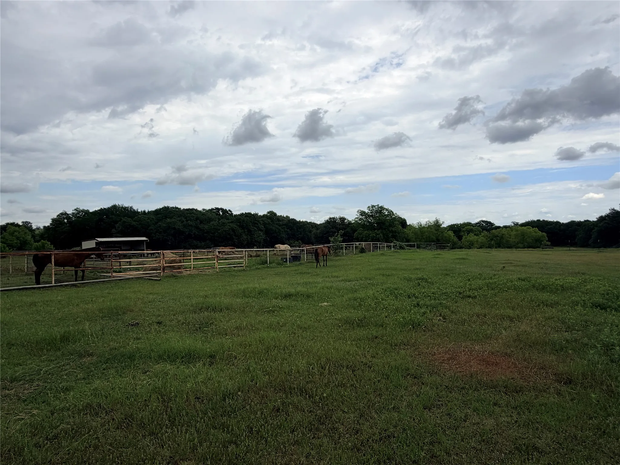 Unimproved Land For Sale in Denton County , 6832 Fm 2931, Aubrey, Texas 76227, 0, 0, Garage spaces, 0 Sqft, built in 1989, Price $10,500,000, mls#21282610, Real Estate Agent in Aubrey, Homes For Sale in Denton county, Homes For Sale in Aubrey, Realtor in Aubrey Texas, Real Estate Brokerage Independent Realty Texas, Luminita Cordes Realtor