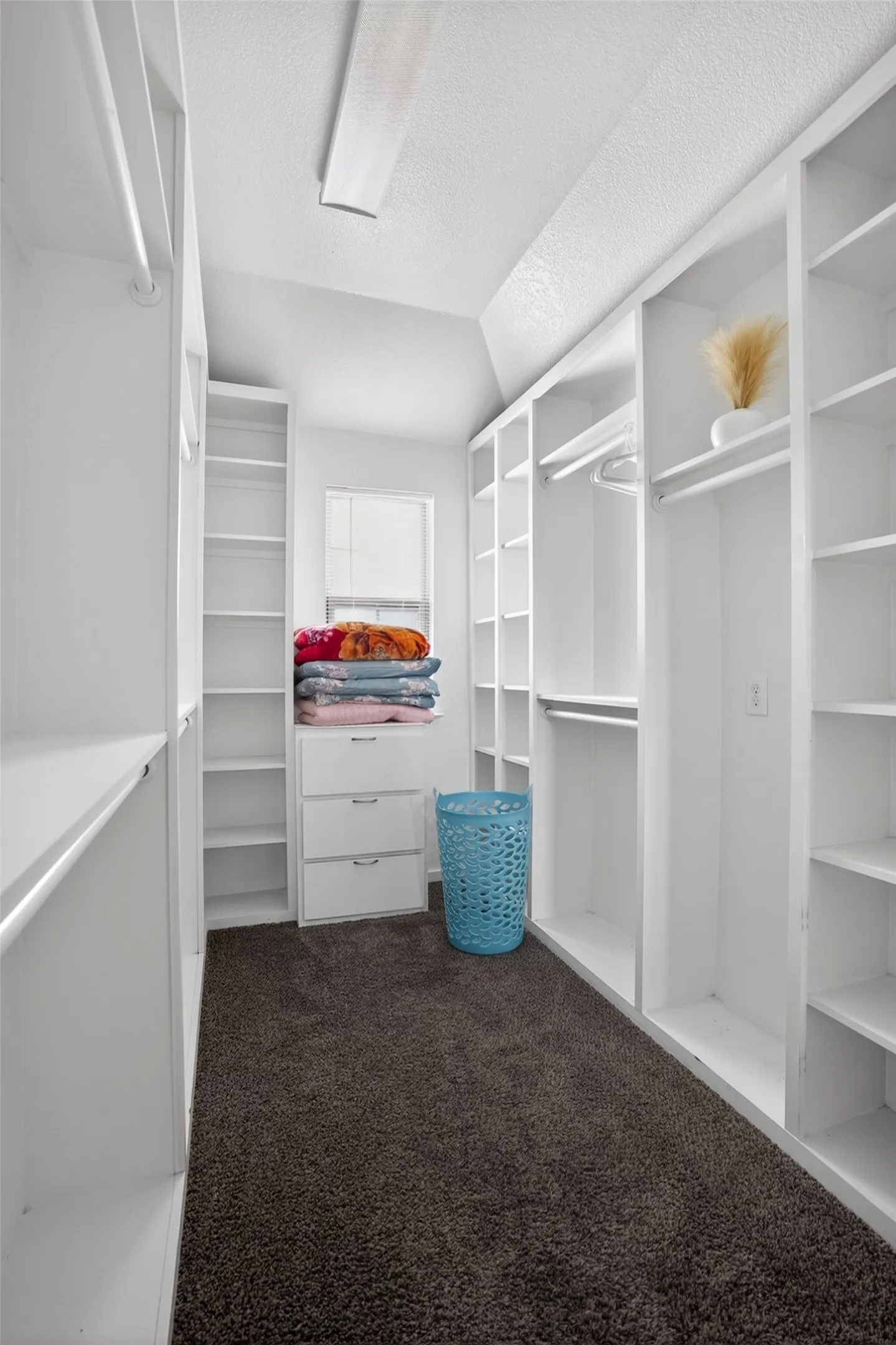 Walk-in closet featuring extensive built-in shelving, multiple hanging rods, integrated drawer storage, a window for natural light, and dark-toned carpeting