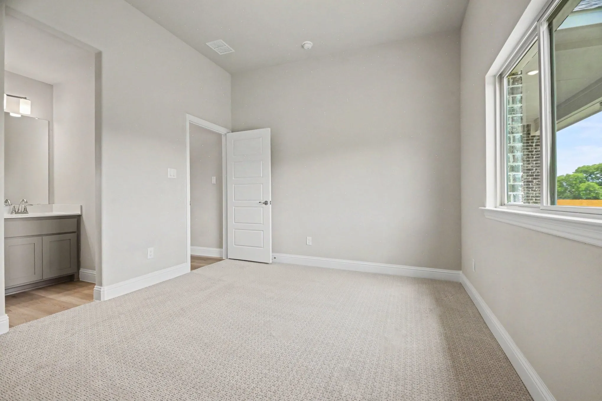 Neutral-toned interior featuring light gray walls, plush carpeting, a multi-pane window with white trim, a solid panel door, and a vanity area with a gray cabinet and rectangular mirror