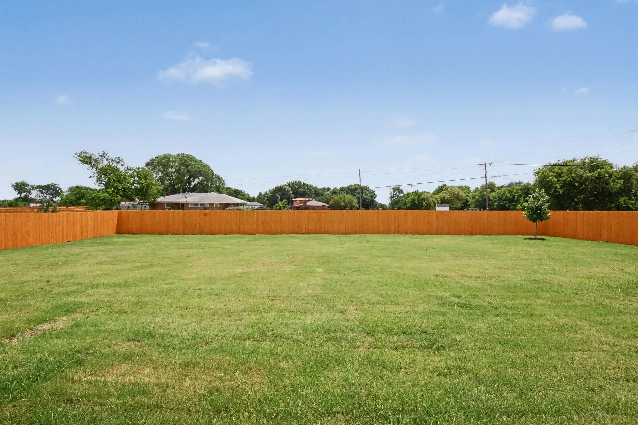Expansive green lawn surrounded by a privacy fence, featuring a young tree