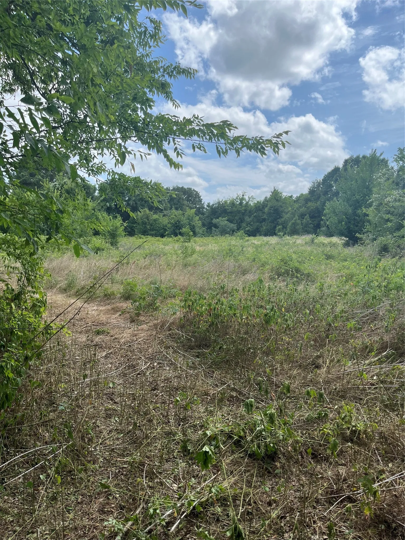 Unimproved Land For Sale in Henderson County , 0 St Hwy 274, Tool, Texas 75143, 0, 0, Garage spaces, 0 Sqft, built in 0, Price $315,000, mls#21280731, Real Estate Agent in Tool, Homes For Sale in Henderson county, Homes For Sale in Tool, Realtor in Tool Texas, Real Estate Brokerage Independent Realty Texas, Luminita Cordes Realtor