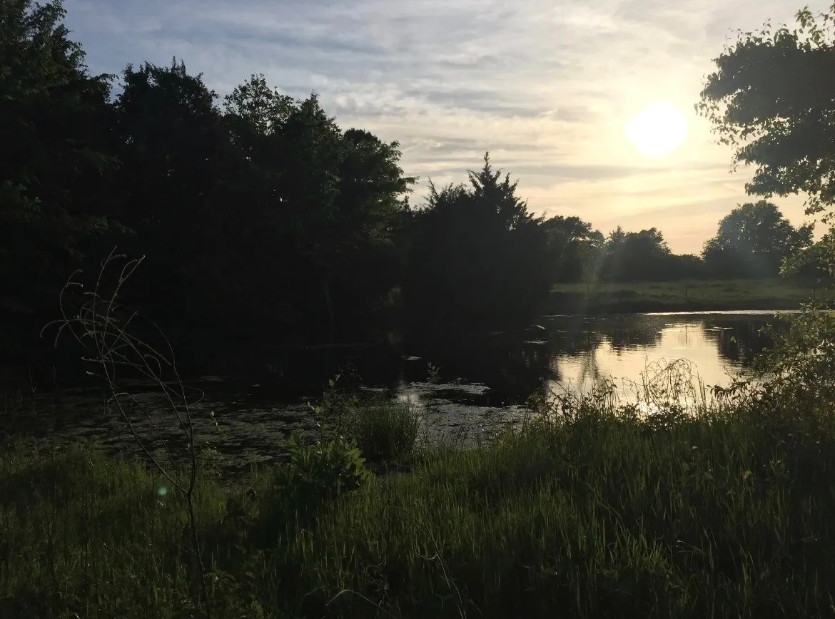 Unimproved Land For Sale in Henderson County , 0 St Hwy 274, Tool, Texas 75143, 0, 0, Garage spaces, 0 Sqft, built in 0, Price $315,000, mls#21280731, Real Estate Agent in Tool, Homes For Sale in Henderson county, Homes For Sale in Tool, Realtor in Tool Texas, Real Estate Brokerage Independent Realty Texas, Luminita Cordes Realtor