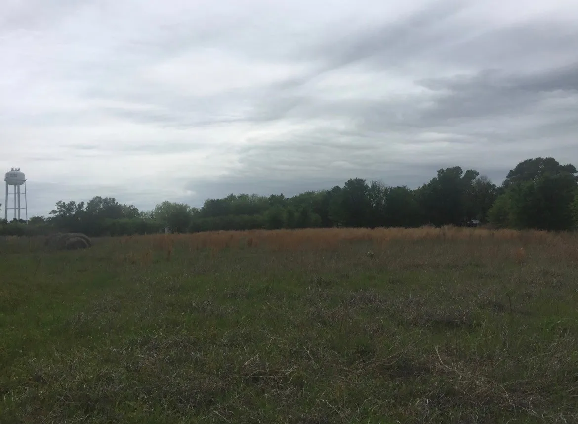 Unimproved Land For Sale in Henderson County , 0 St Hwy 274, Tool, Texas 75143, 0, 0, Garage spaces, 0 Sqft, built in 0, Price $315,000, mls#21280731, Real Estate Agent in Tool, Homes For Sale in Henderson county, Homes For Sale in Tool, Realtor in Tool Texas, Real Estate Brokerage Independent Realty Texas, Luminita Cordes Realtor