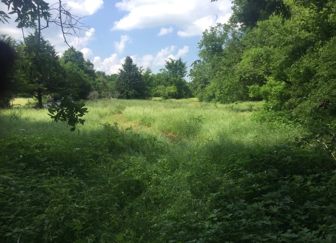 Unimproved Land For Sale in Henderson County , 0 St Hwy 274, Tool, Texas 75143, 0, 0, Garage spaces, 0 Sqft, built in 0, Price $315,000, mls#21280731, Real Estate Agent in Tool, Homes For Sale in Henderson county, Homes For Sale in Tool, Realtor in Tool Texas, Real Estate Brokerage Independent Realty Texas, Luminita Cordes Realtor
