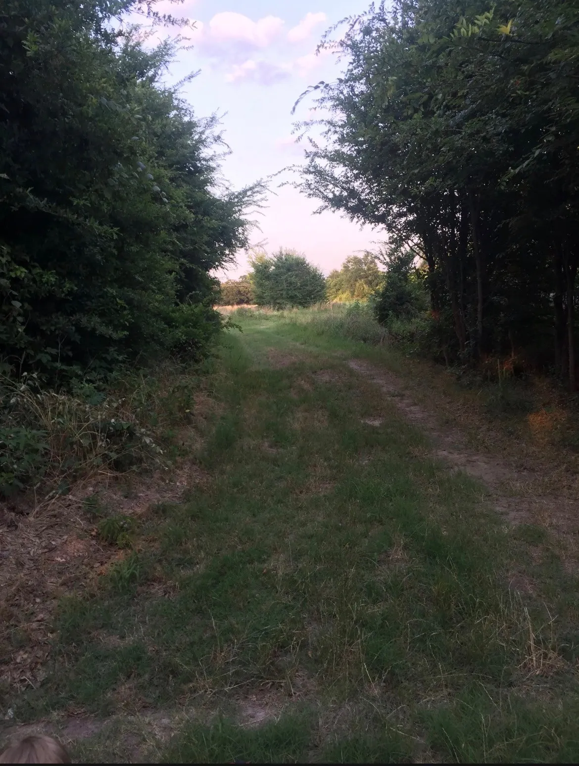 Unimproved Land For Sale in Henderson County , 0 St Hwy 274, Tool, Texas 75143, 0, 0, Garage spaces, 0 Sqft, built in 0, Price $315,000, mls#21280731, Real Estate Agent in Tool, Homes For Sale in Henderson county, Homes For Sale in Tool, Realtor in Tool Texas, Real Estate Brokerage Independent Realty Texas, Luminita Cordes Realtor