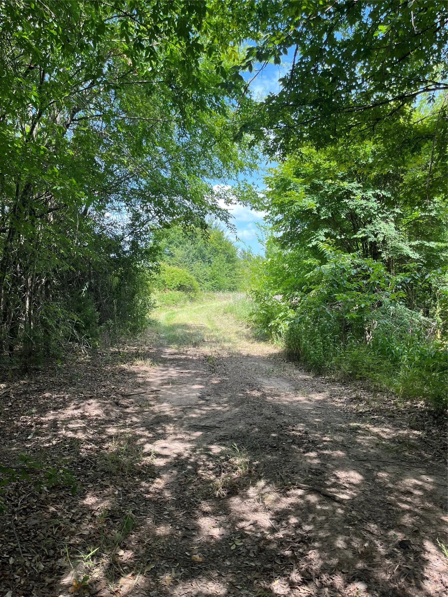 Unimproved Land For Sale in Henderson County , 0 St Hwy 274, Tool, Texas 75143, 0, 0, Garage spaces, 0 Sqft, built in 0, Price $315,000, mls#21280731, Real Estate Agent in Tool, Homes For Sale in Henderson county, Homes For Sale in Tool, Realtor in Tool Texas, Real Estate Brokerage Independent Realty Texas, Luminita Cordes Realtor