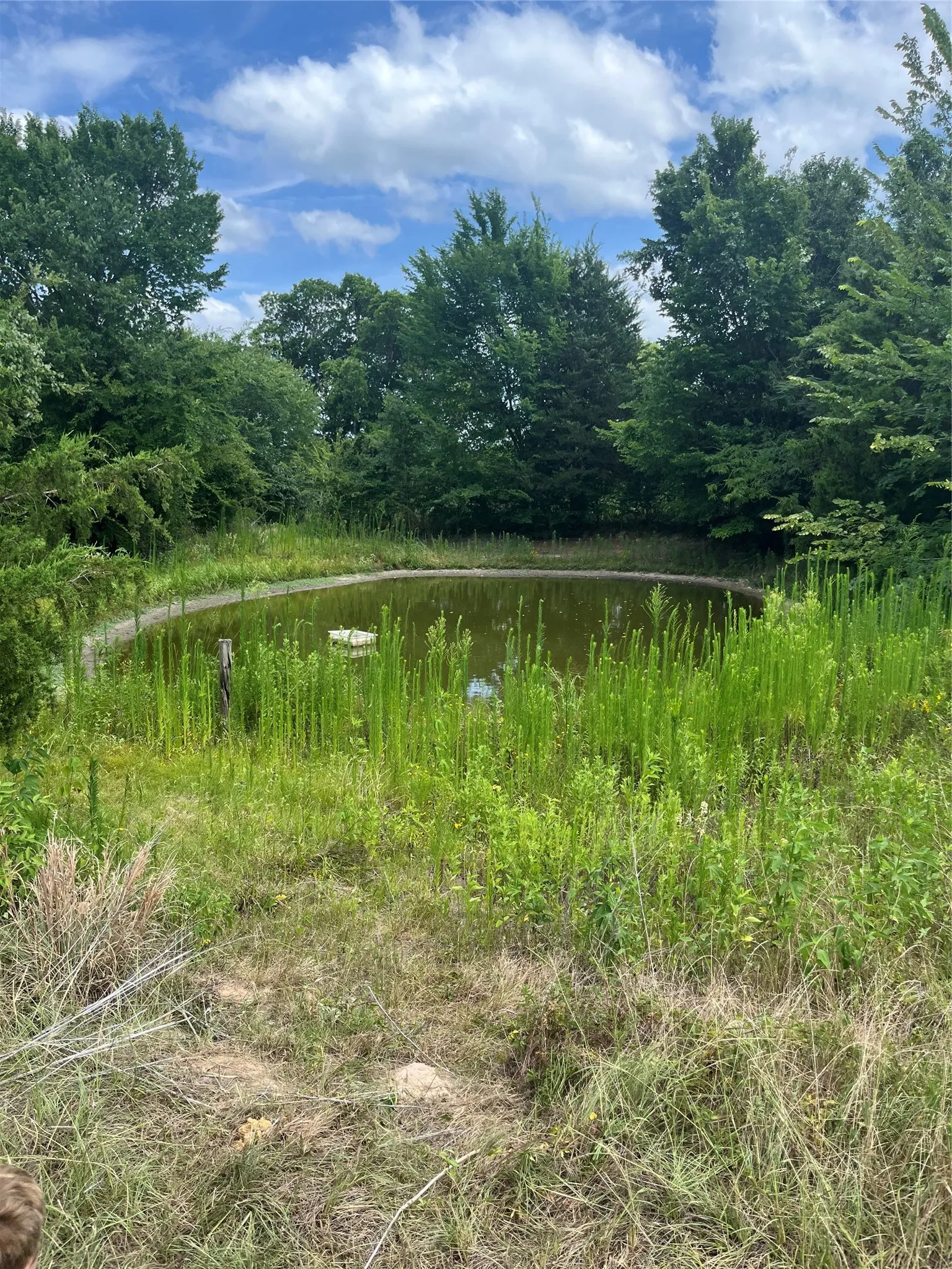 Unimproved Land For Sale in Henderson County , 0 St Hwy 274, Tool, Texas 75143, 0, 0, Garage spaces, 0 Sqft, built in 0, Price $315,000, mls#21280731, Real Estate Agent in Tool, Homes For Sale in Henderson county, Homes For Sale in Tool, Realtor in Tool Texas, Real Estate Brokerage Independent Realty Texas, Luminita Cordes Realtor