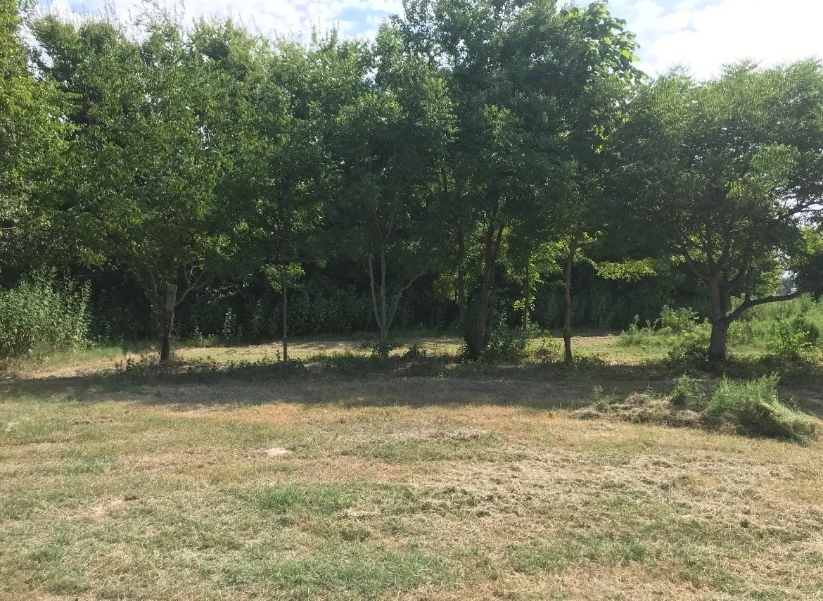 Unimproved Land For Sale in Henderson County , 0 St Hwy 274, Tool, Texas 75143, 0, 0, Garage spaces, 0 Sqft, built in 0, Price $315,000, mls#21280731, Real Estate Agent in Tool, Homes For Sale in Henderson county, Homes For Sale in Tool, Realtor in Tool Texas, Real Estate Brokerage Independent Realty Texas, Luminita Cordes Realtor
