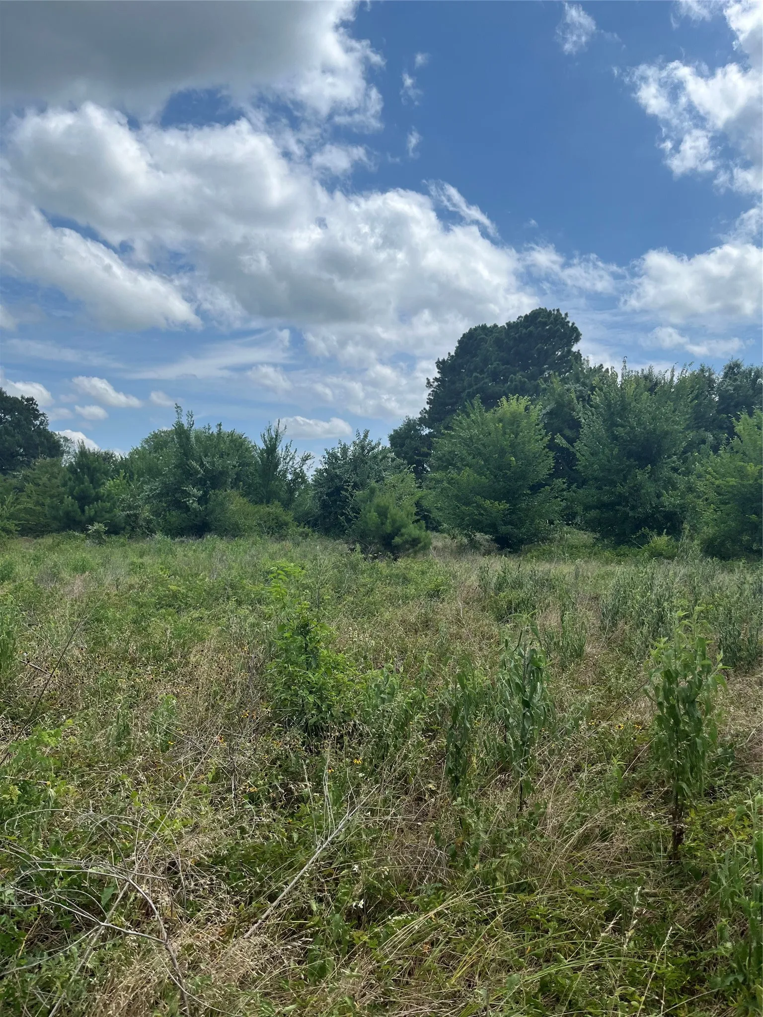Unimproved Land For Sale in Henderson County , 0 St Hwy 274, Tool, Texas 75143, 0, 0, Garage spaces, 0 Sqft, built in 0, Price $315,000, mls#21280731, Real Estate Agent in Tool, Homes For Sale in Henderson county, Homes For Sale in Tool, Realtor in Tool Texas, Real Estate Brokerage Independent Realty Texas, Luminita Cordes Realtor