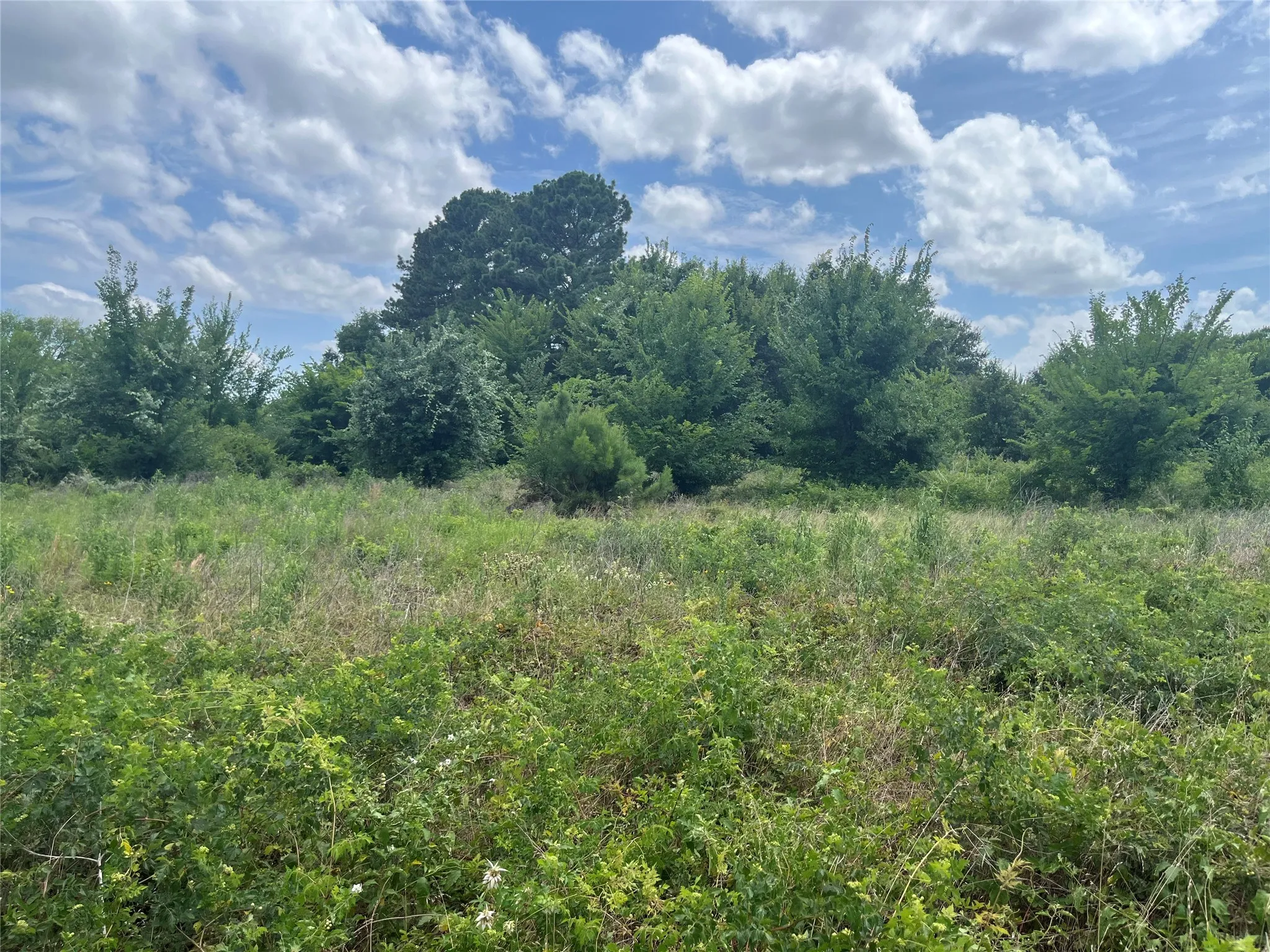 Unimproved Land For Sale in Henderson County , 0 St Hwy 274, Tool, Texas 75143, 0, 0, Garage spaces, 0 Sqft, built in 0, Price $315,000, mls#21280731, Real Estate Agent in Tool, Homes For Sale in Henderson county, Homes For Sale in Tool, Realtor in Tool Texas, Real Estate Brokerage Independent Realty Texas, Luminita Cordes Realtor