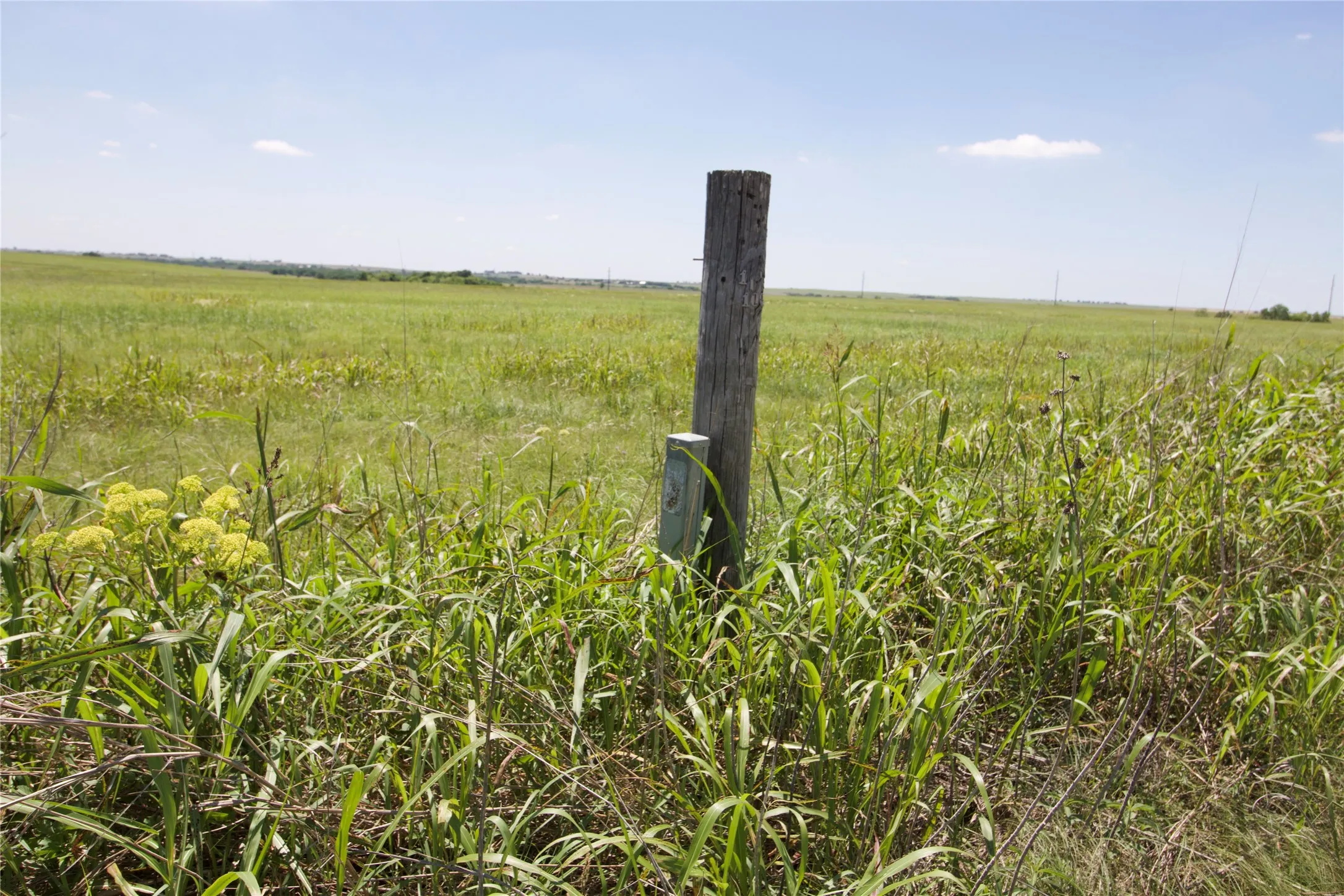 Unimproved Land For Sale in Cooke County , TBD County Road 431, Muenster, Texas 76252, 0, 0, Garage spaces, 0 Sqft, built in 0, mls#21282865, Real Estate Agent in Muenster, Homes For Sale in Cooke county, Homes For Sale in Muenster, Realtor in Muenster Texas, Real Estate Brokerage Independent Realty Texas, Luminita Cordes Realtor