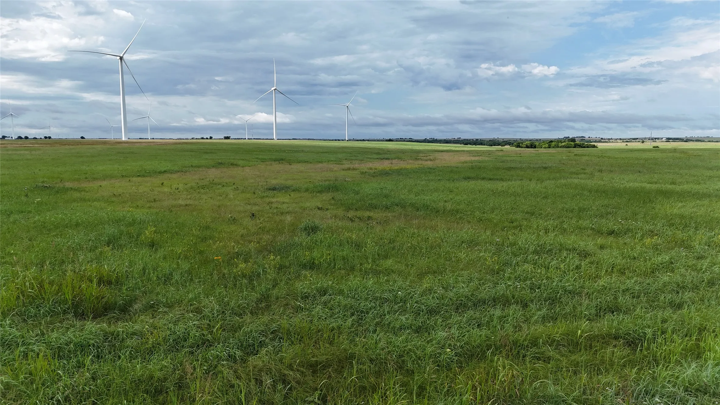 Unimproved Land For Sale in Cooke County , TBD County Road 431, Muenster, Texas 76252, 0, 0, Garage spaces, 0 Sqft, built in 0, mls#21282865, Real Estate Agent in Muenster, Homes For Sale in Cooke county, Homes For Sale in Muenster, Realtor in Muenster Texas, Real Estate Brokerage Independent Realty Texas, Luminita Cordes Realtor