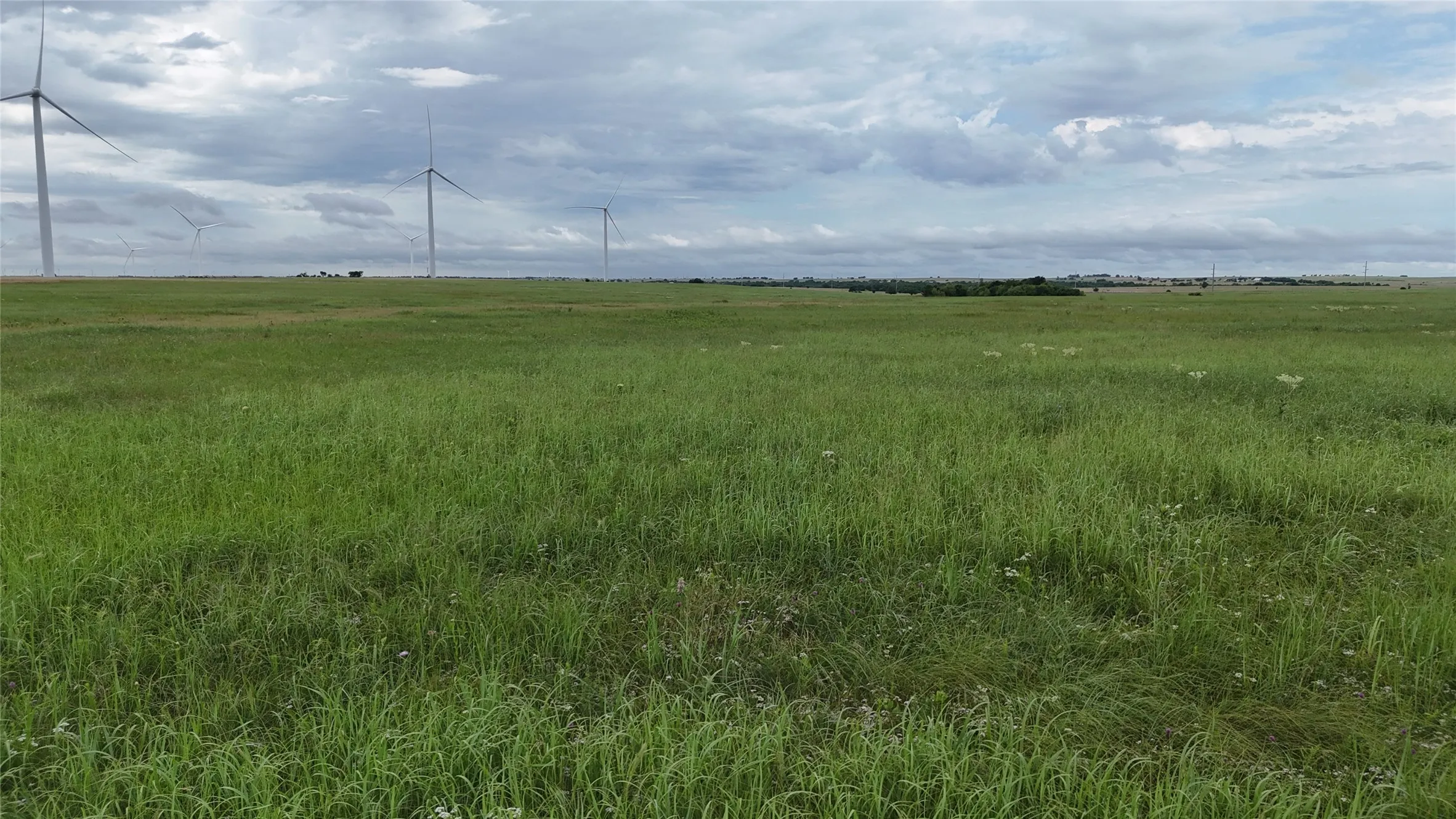Unimproved Land For Sale in Cooke County , TBD County Road 431, Muenster, Texas 76252, 0, 0, Garage spaces, 0 Sqft, built in 0, mls#21282865, Real Estate Agent in Muenster, Homes For Sale in Cooke county, Homes For Sale in Muenster, Realtor in Muenster Texas, Real Estate Brokerage Independent Realty Texas, Luminita Cordes Realtor