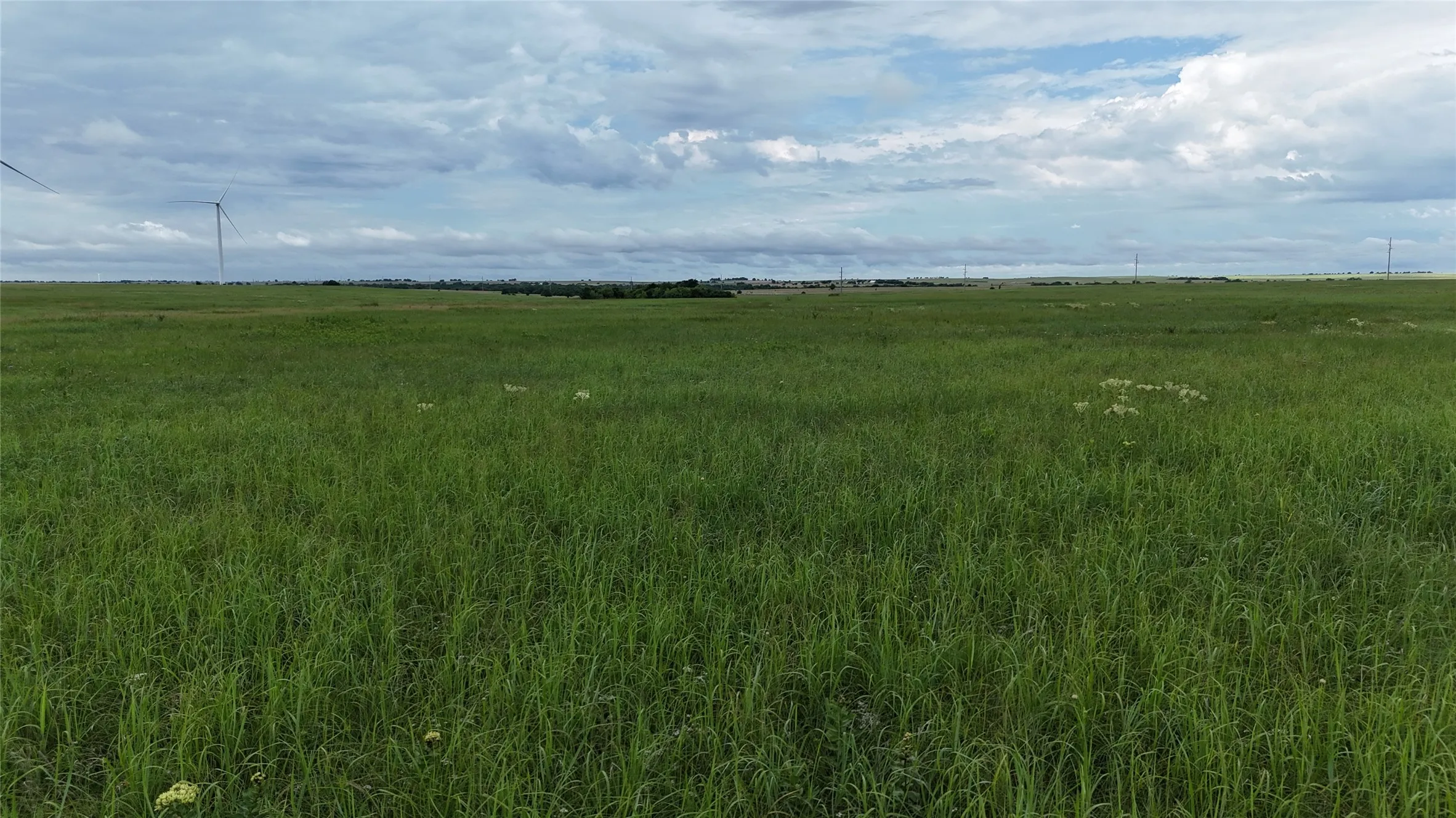 Unimproved Land For Sale in Cooke County , TBD County Road 431, Muenster, Texas 76252, 0, 0, Garage spaces, 0 Sqft, built in 0, mls#21282865, Real Estate Agent in Muenster, Homes For Sale in Cooke county, Homes For Sale in Muenster, Realtor in Muenster Texas, Real Estate Brokerage Independent Realty Texas, Luminita Cordes Realtor