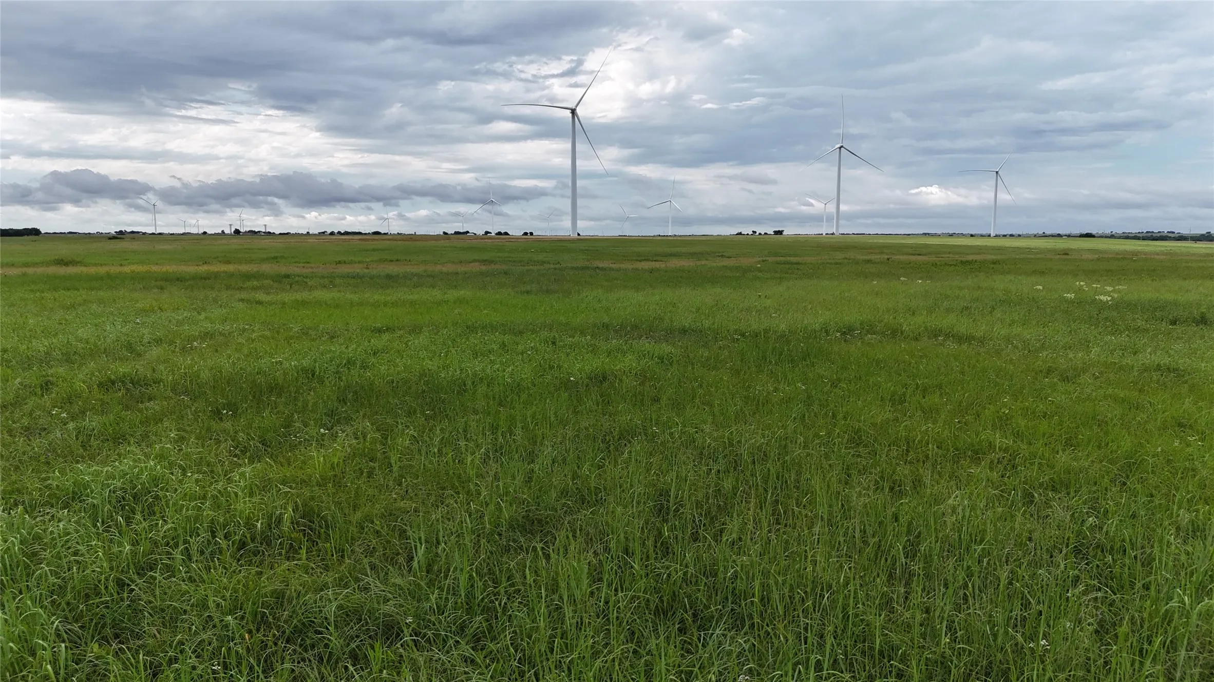 Unimproved Land For Sale in Cooke County , TBD County Road 431, Muenster, Texas 76252, 0, 0, Garage spaces, 0 Sqft, built in 0, mls#21282865, Real Estate Agent in Muenster, Homes For Sale in Cooke county, Homes For Sale in Muenster, Realtor in Muenster Texas, Real Estate Brokerage Independent Realty Texas, Luminita Cordes Realtor