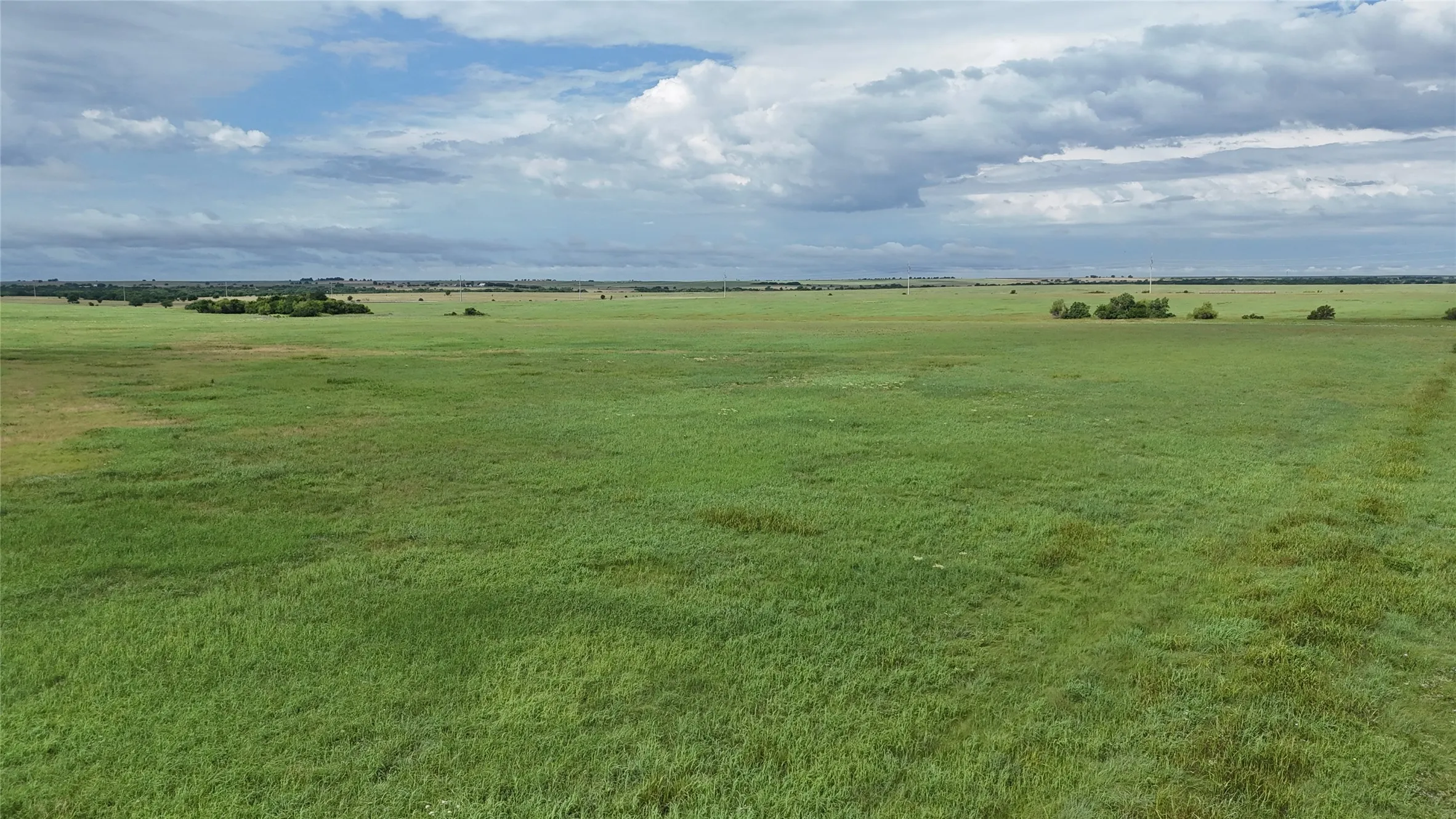 Unimproved Land For Sale in Cooke County , TBD County Road 431, Muenster, Texas 76252, 0, 0, Garage spaces, 0 Sqft, built in 0, mls#21282865, Real Estate Agent in Muenster, Homes For Sale in Cooke county, Homes For Sale in Muenster, Realtor in Muenster Texas, Real Estate Brokerage Independent Realty Texas, Luminita Cordes Realtor