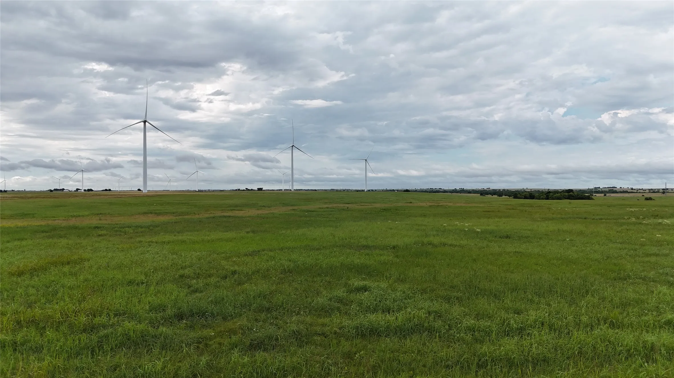 Unimproved Land For Sale in Cooke County , TBD County Road 431, Muenster, Texas 76252, 0, 0, Garage spaces, 0 Sqft, built in 0, mls#21282865, Real Estate Agent in Muenster, Homes For Sale in Cooke county, Homes For Sale in Muenster, Realtor in Muenster Texas, Real Estate Brokerage Independent Realty Texas, Luminita Cordes Realtor